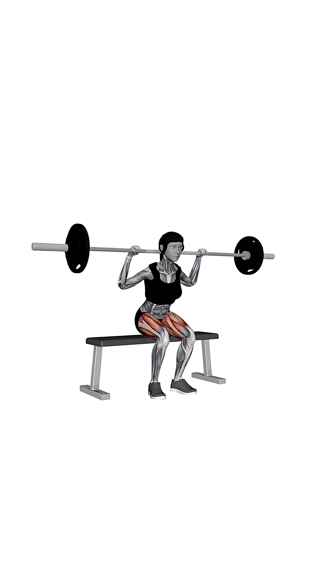 Barbell Bench Squat