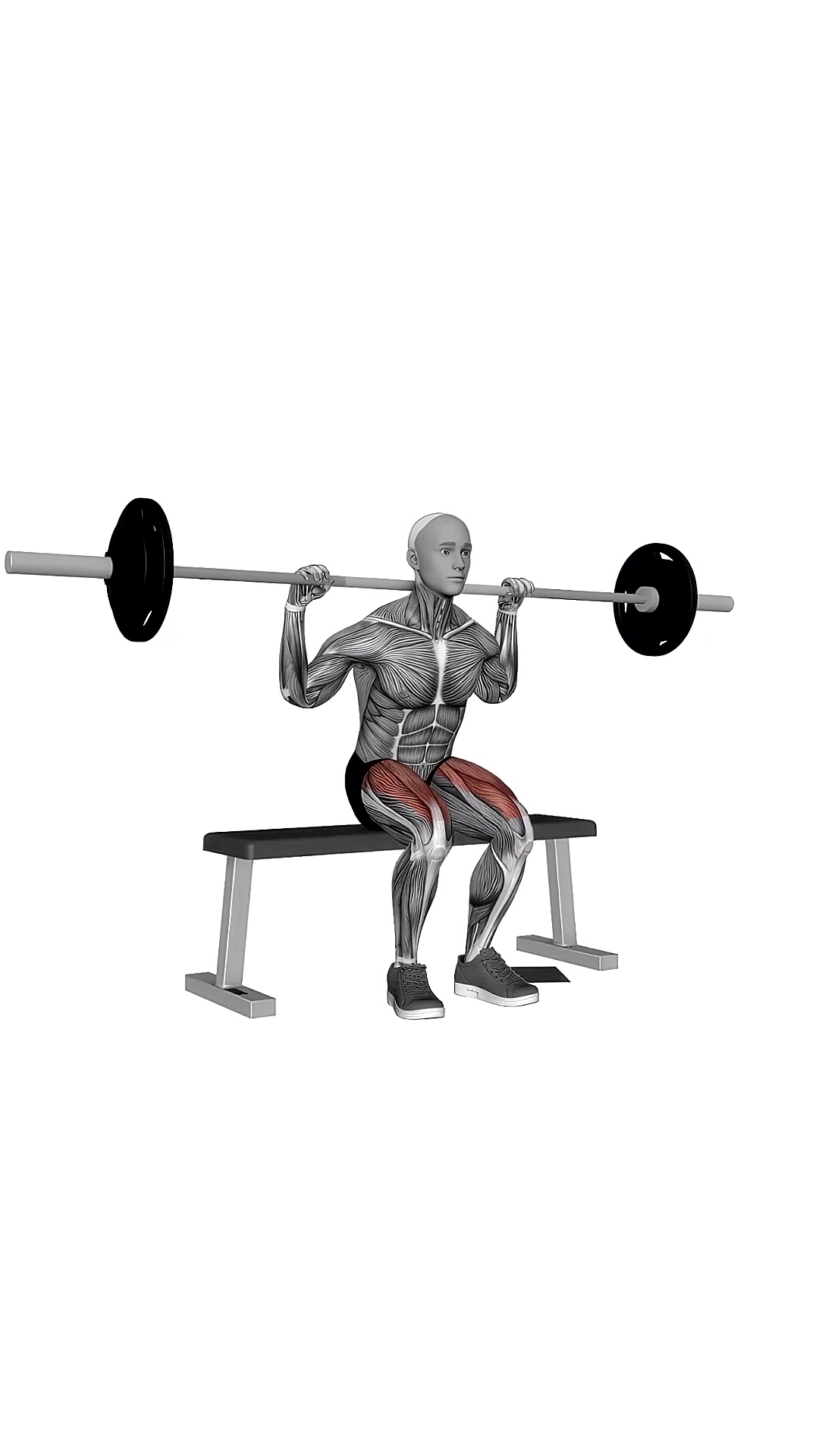 Barbell Bench Squats
