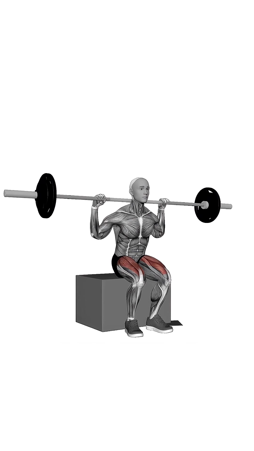 Barbell Box Squat