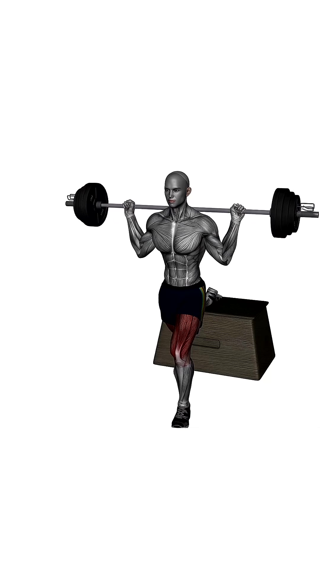 Barbell Bulgarian Split Squat Left Front-back View