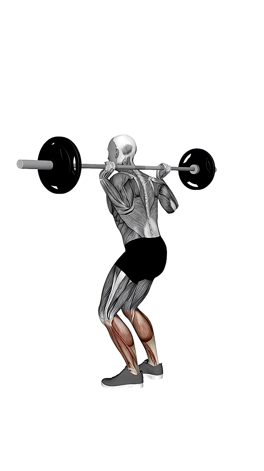 Barbell Calf Jump