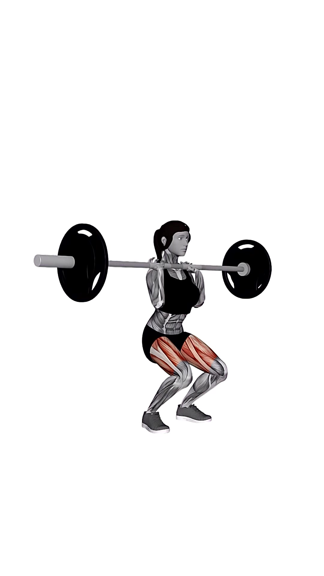 Barbell Clean-grip Front Squat
