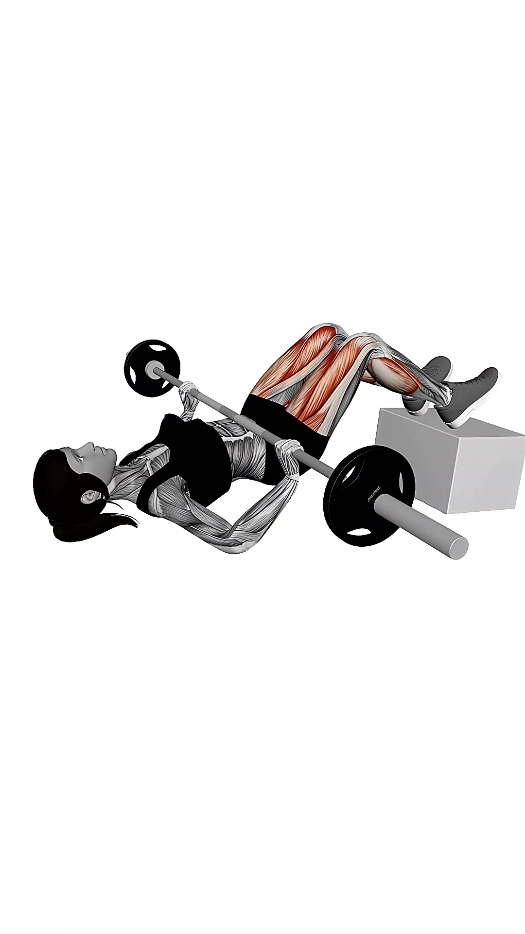 Barbell Feet Elevated Glute Bridge