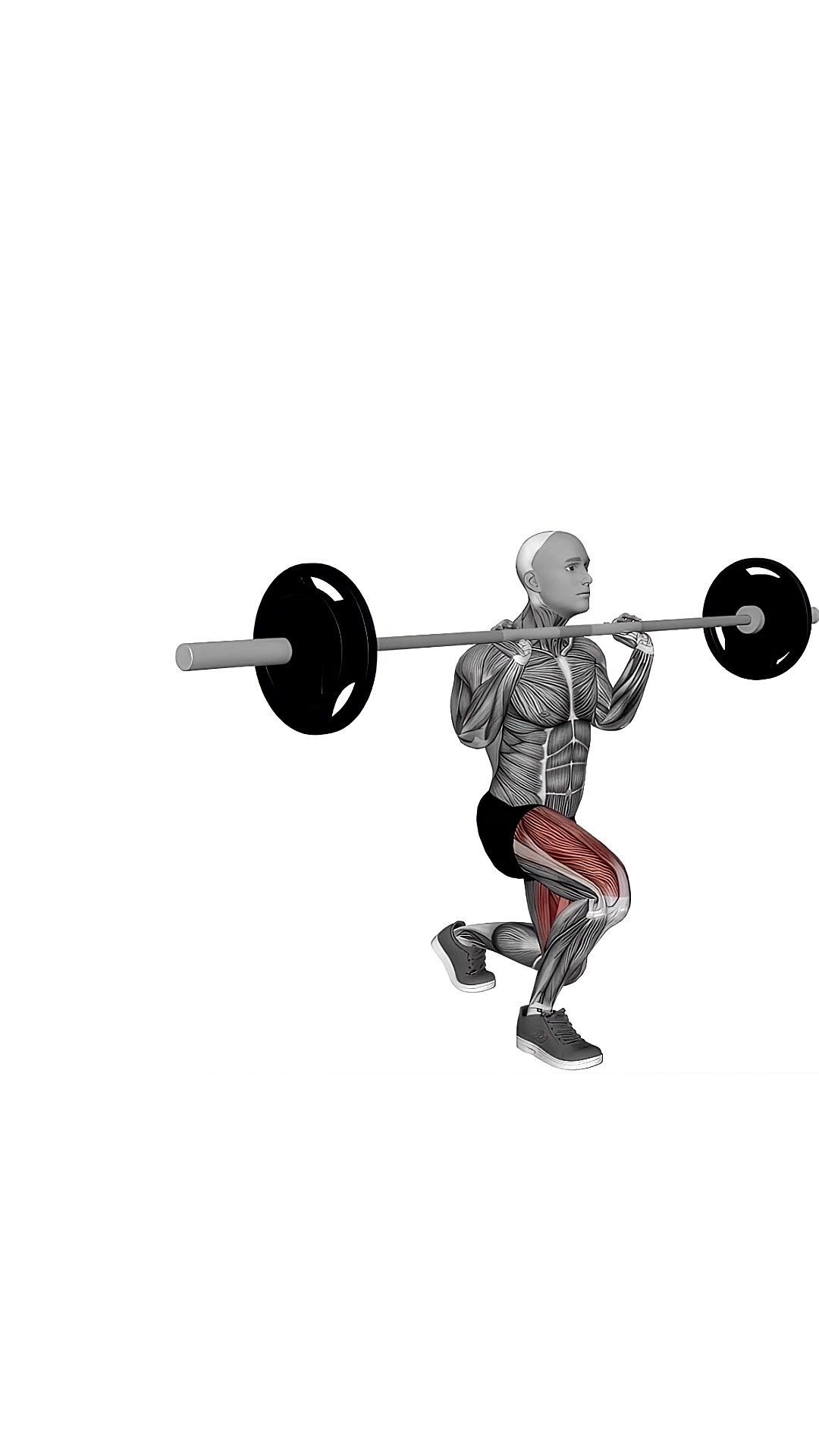 Barbell Front Chest Lunges
