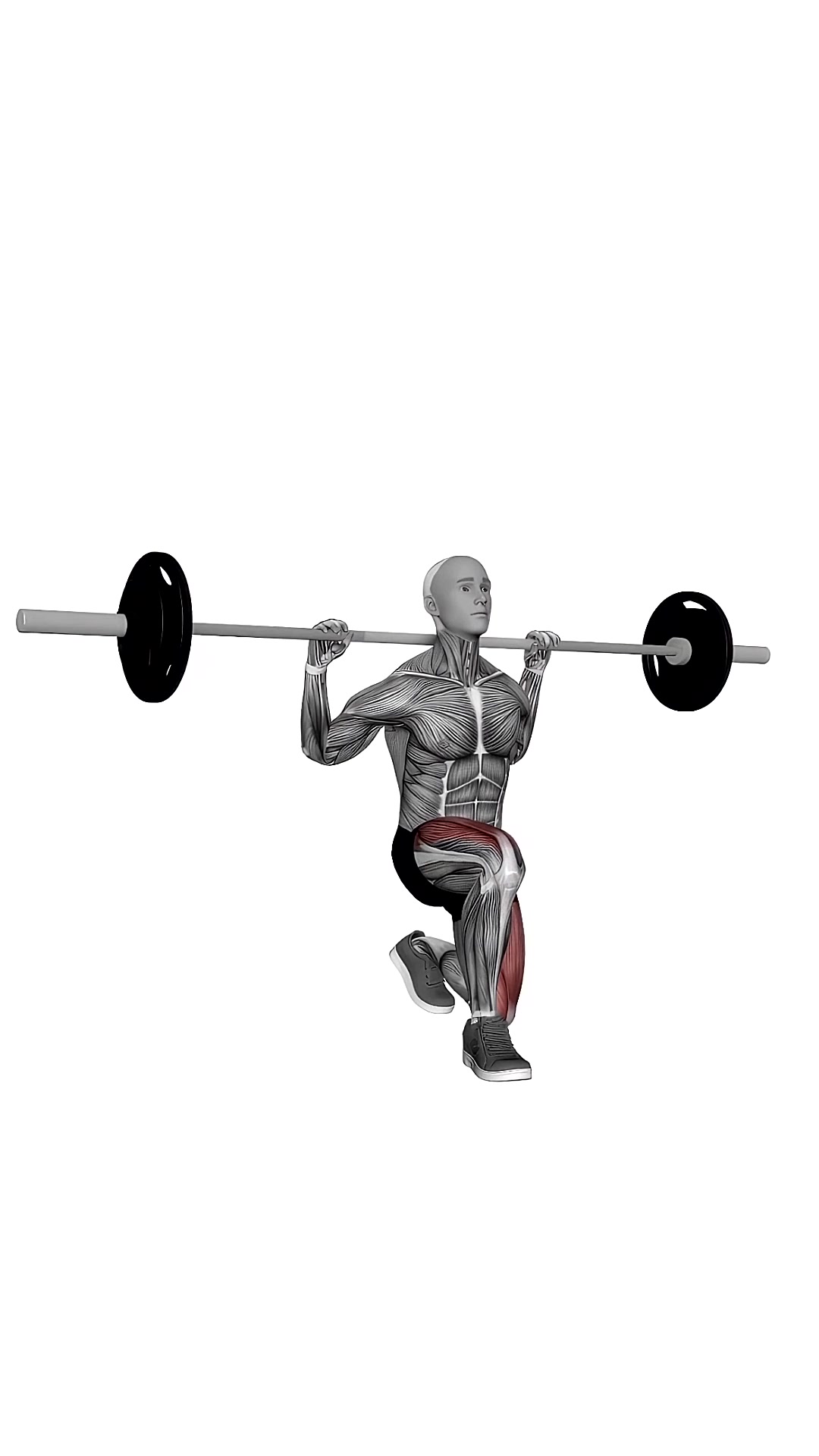 Barbell Front Lunges With Small Pause