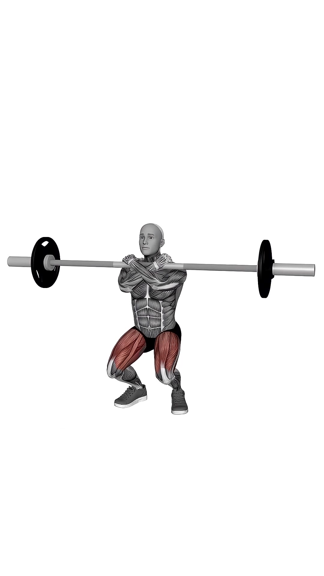 Barbell Front Squats