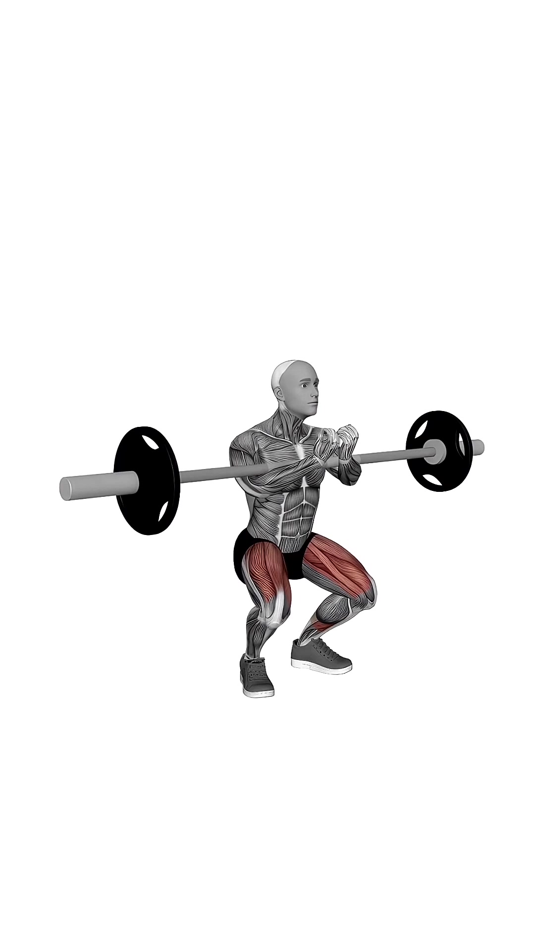 Barbell Full Zercher Squat