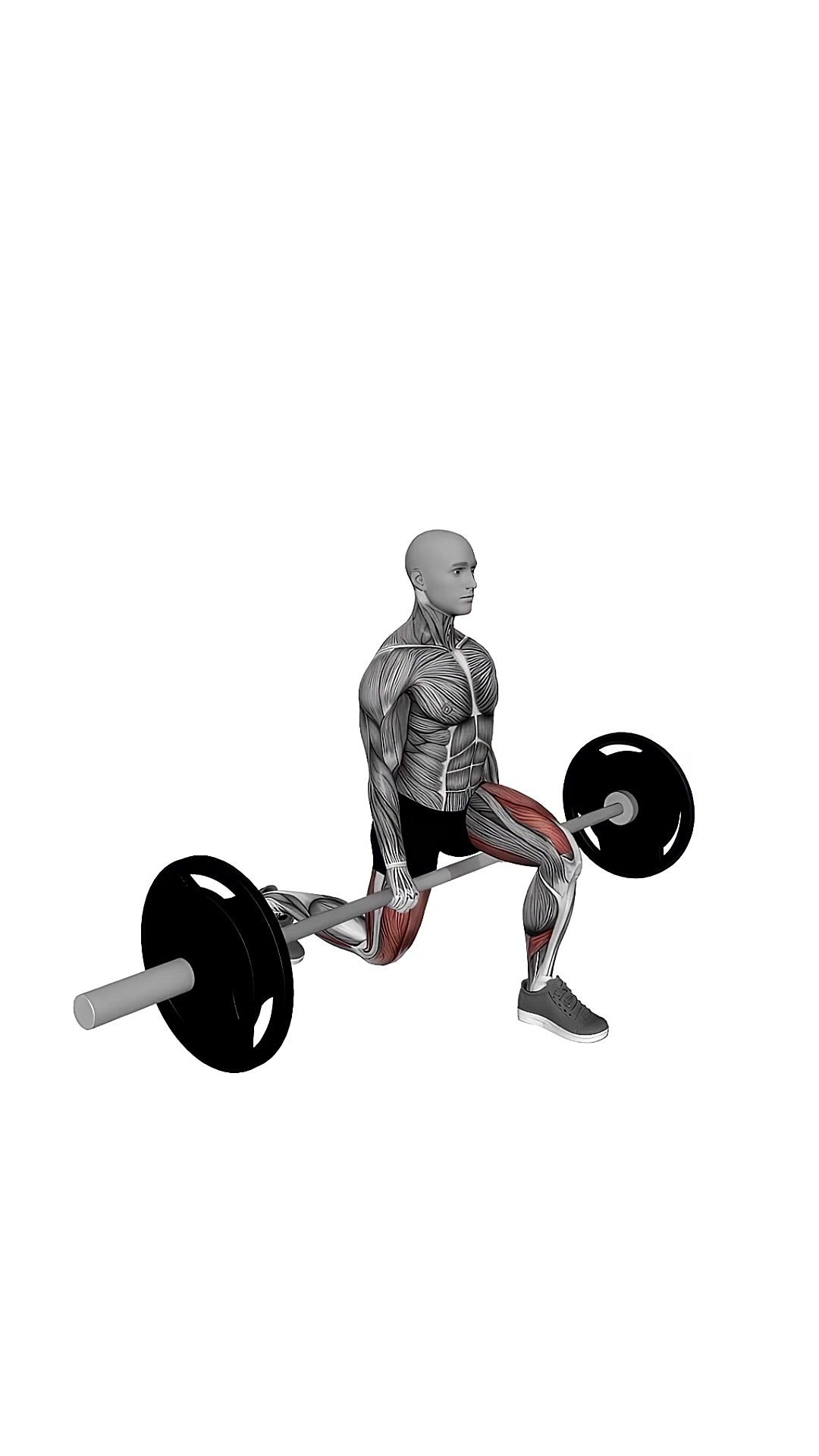 Barbell Jefferson Split Squat