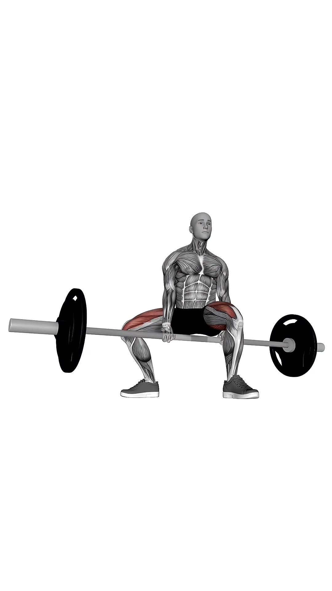 Barbell Jefferson Squat