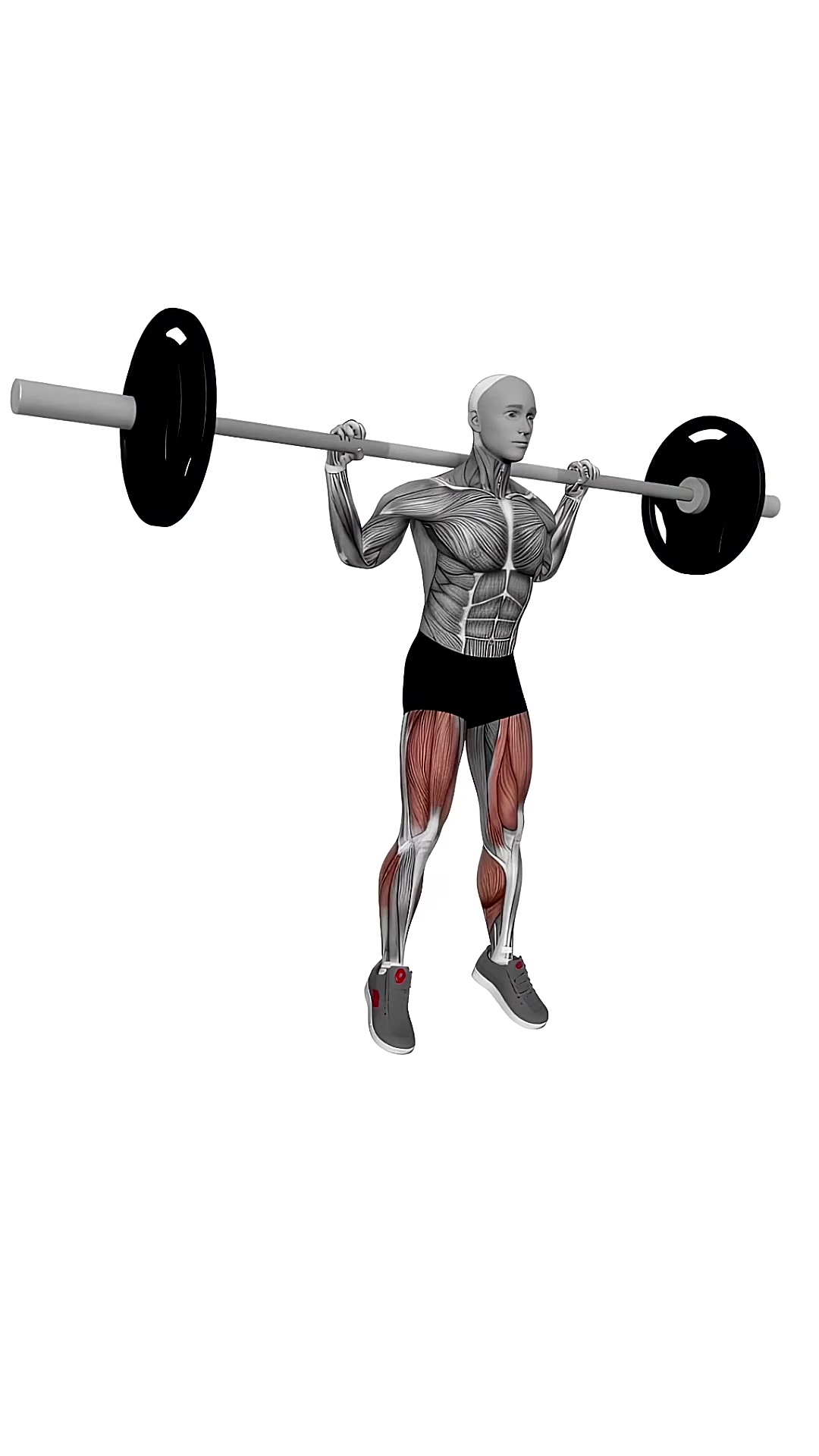 Barbell Jump Squat