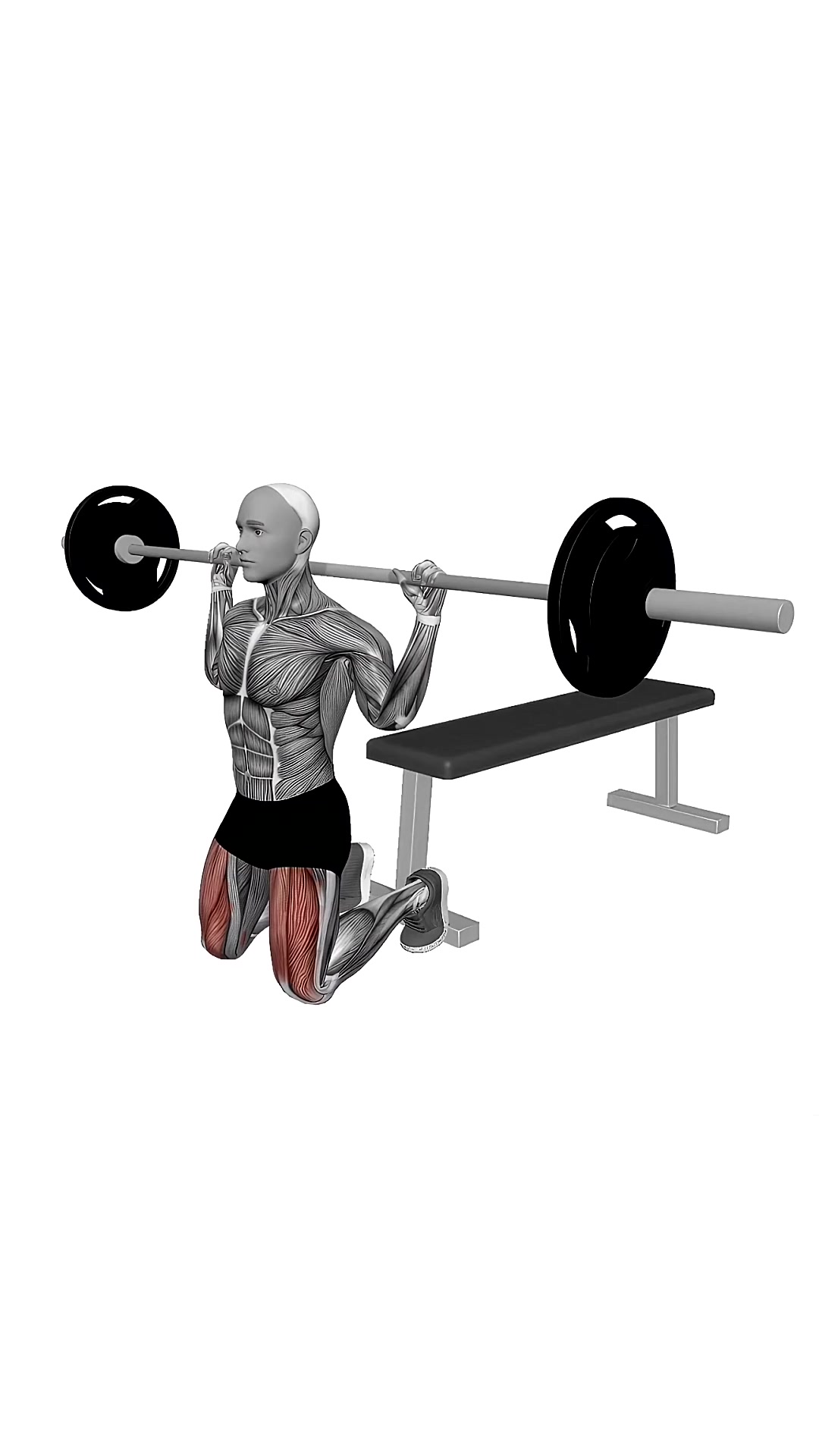 Barbell Kneeling Squat