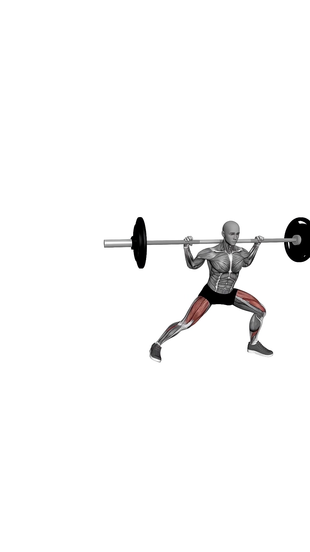 Barbell Lateral Lunges