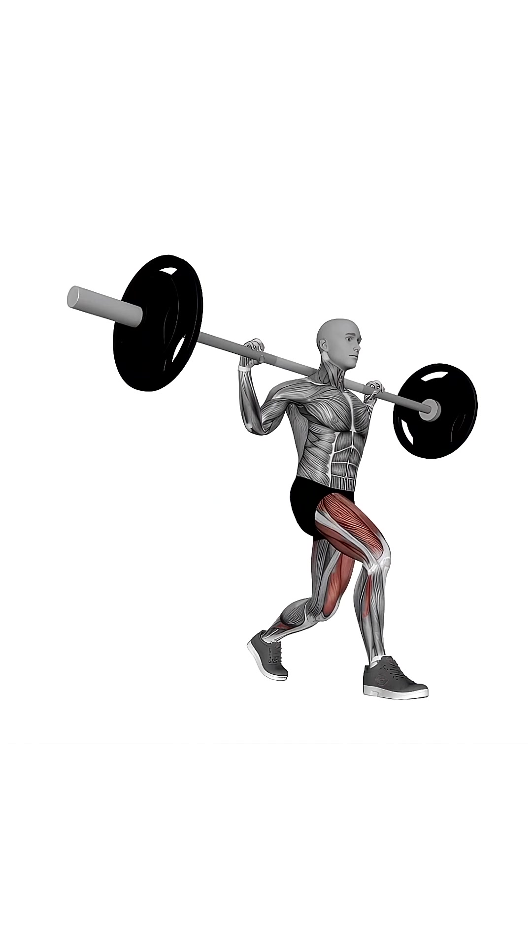 Barbell Lunges