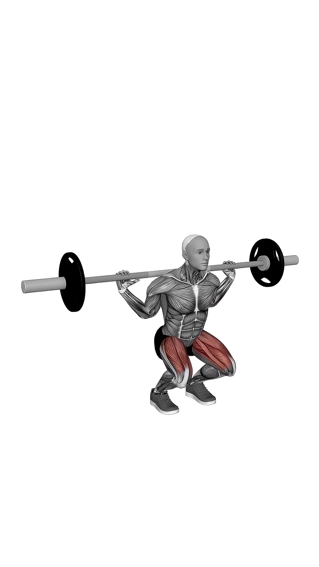 Barbell Narrow Stance Squat