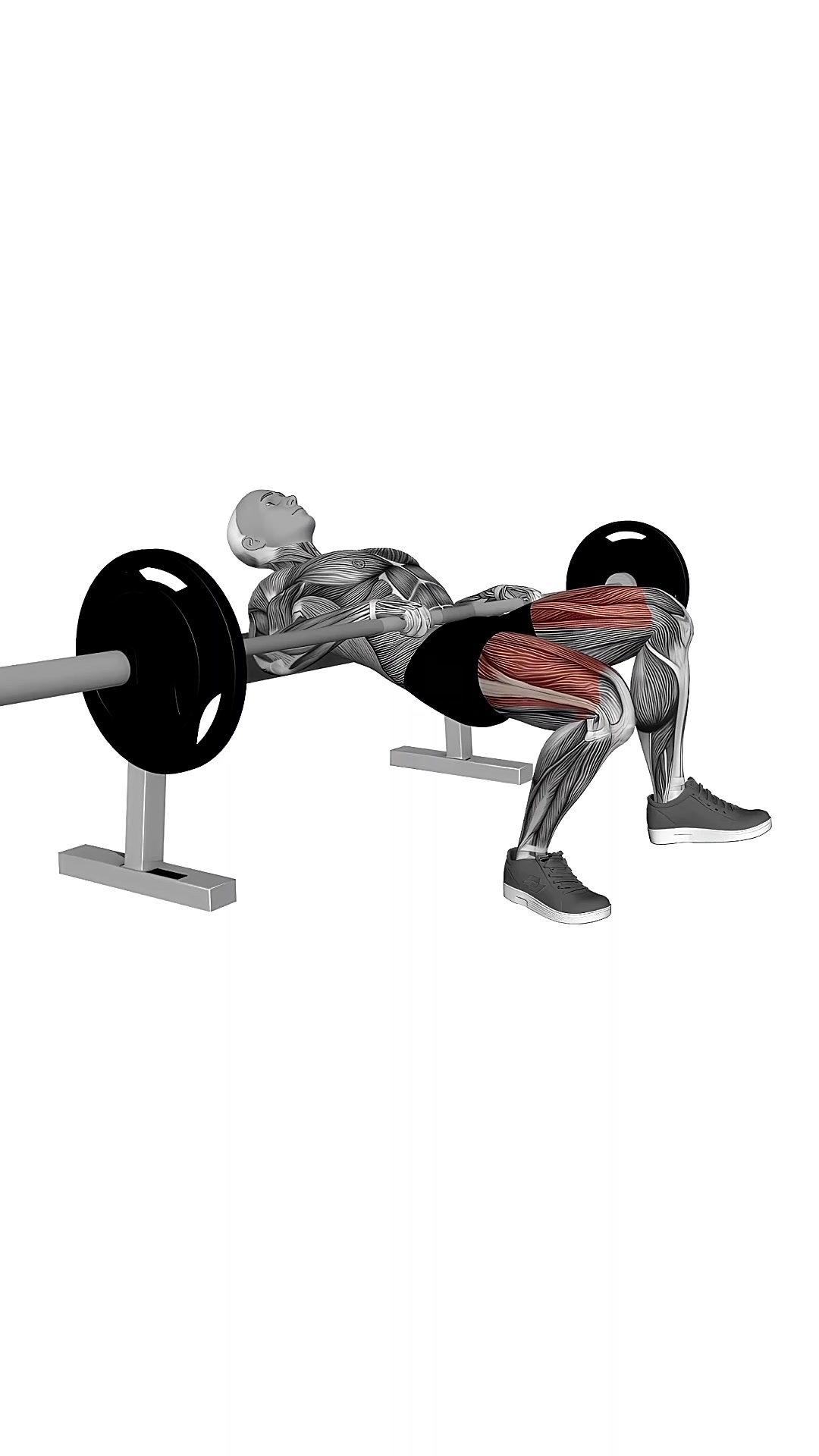 Barbell One Leg Hip Thrust