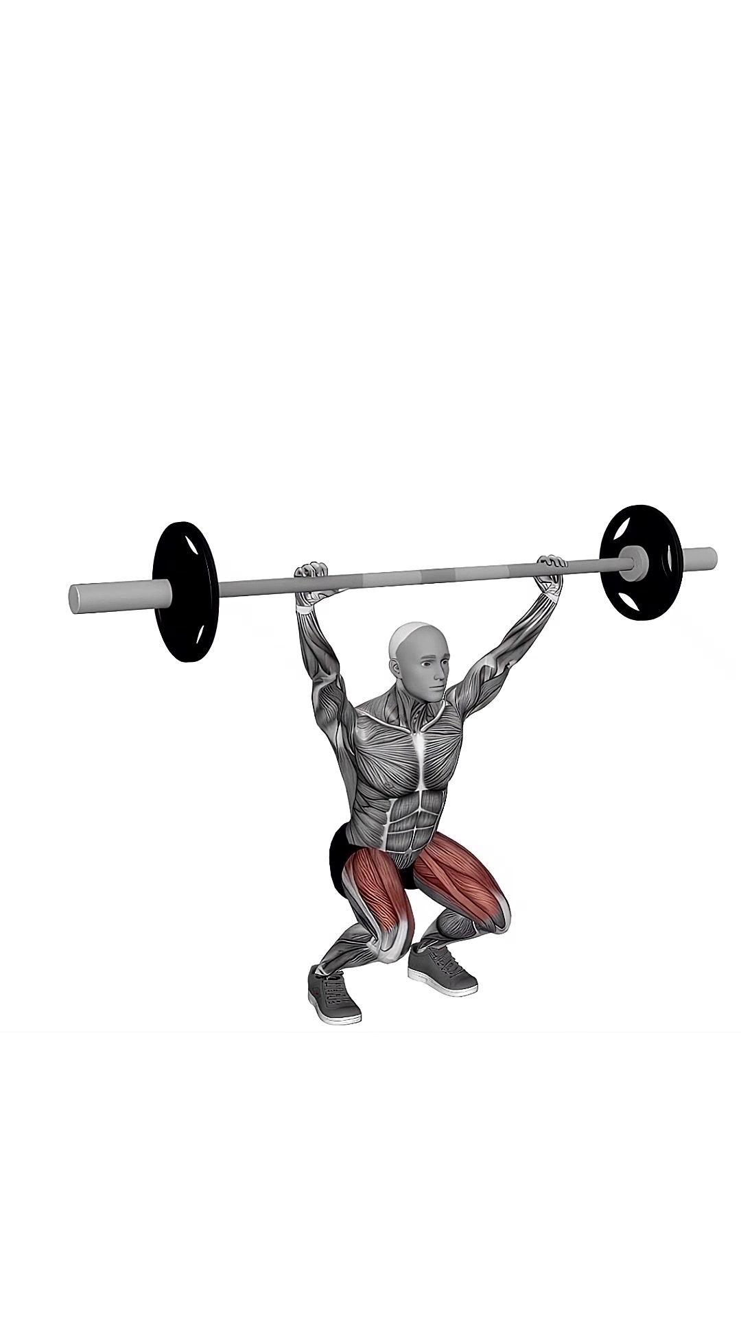 Barbell Overhead Squat