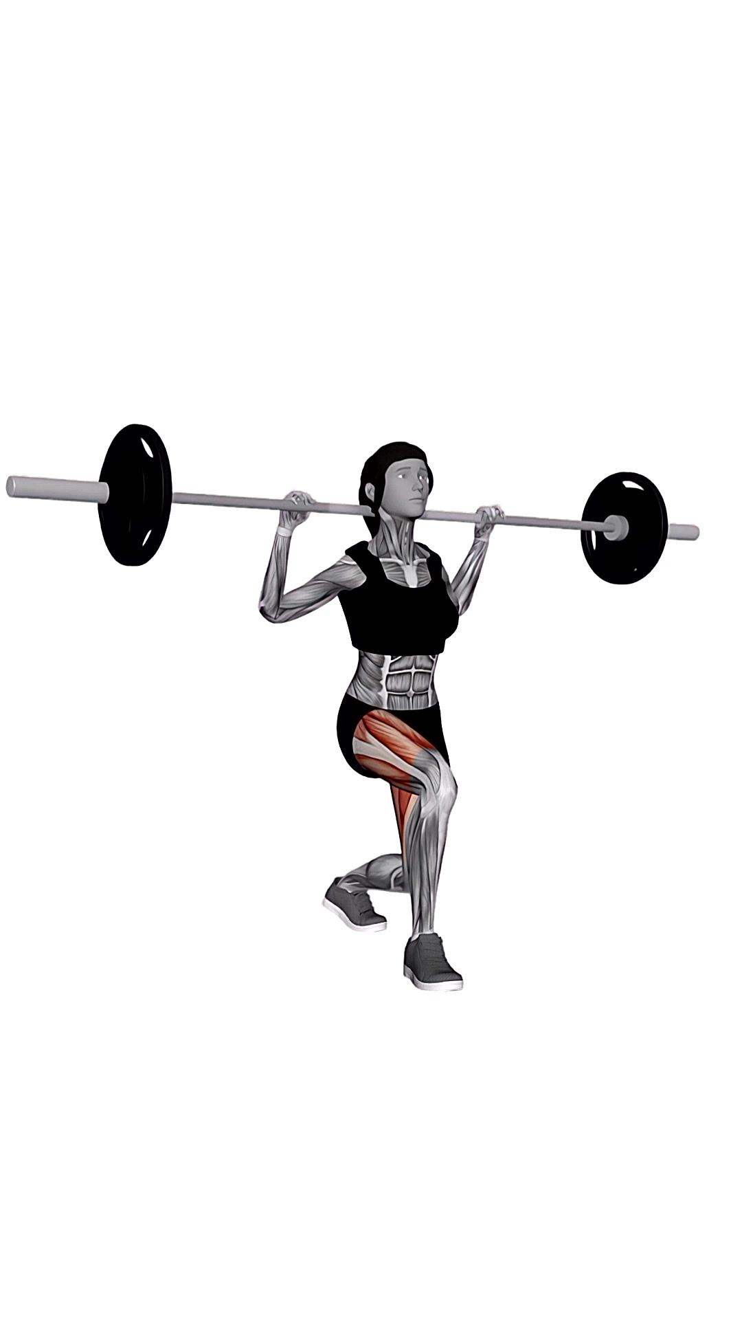 Barbell Pause Lunge