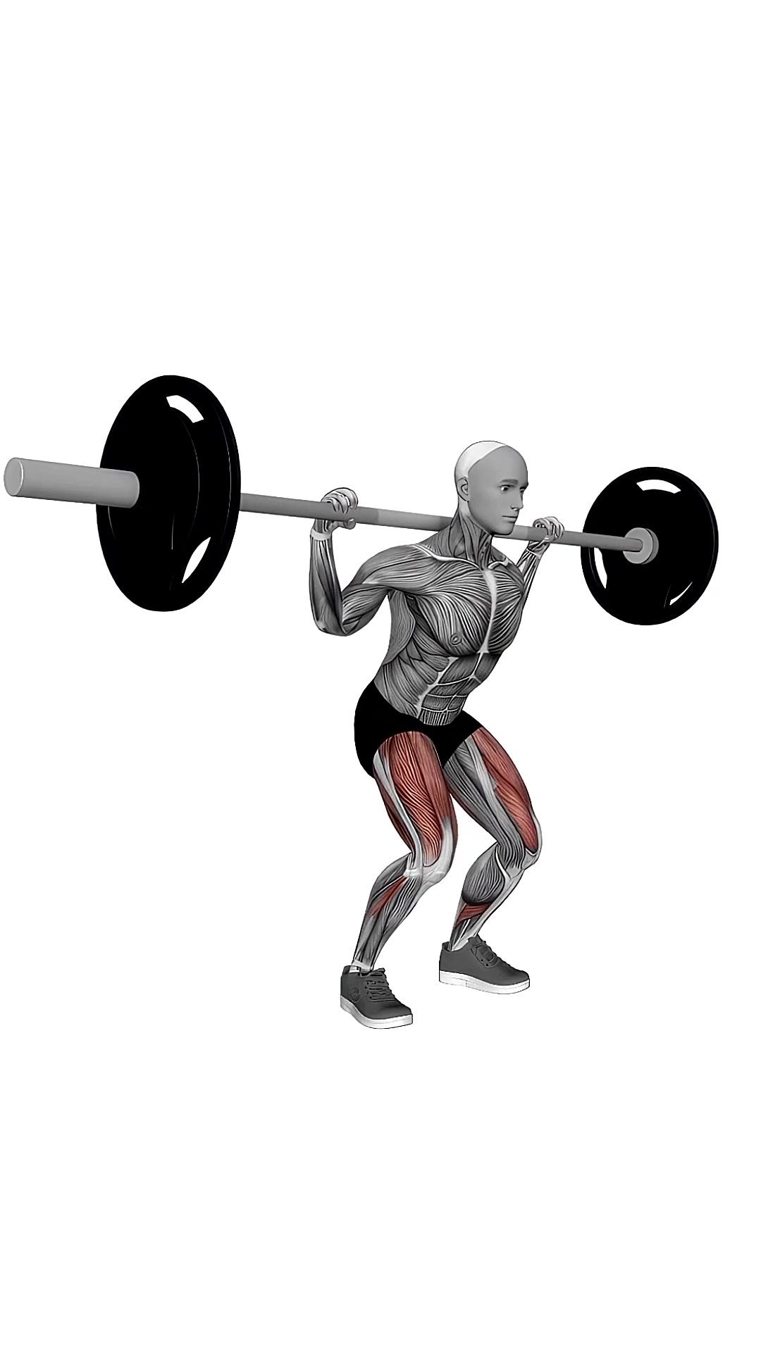 Barbell Quarter Squat