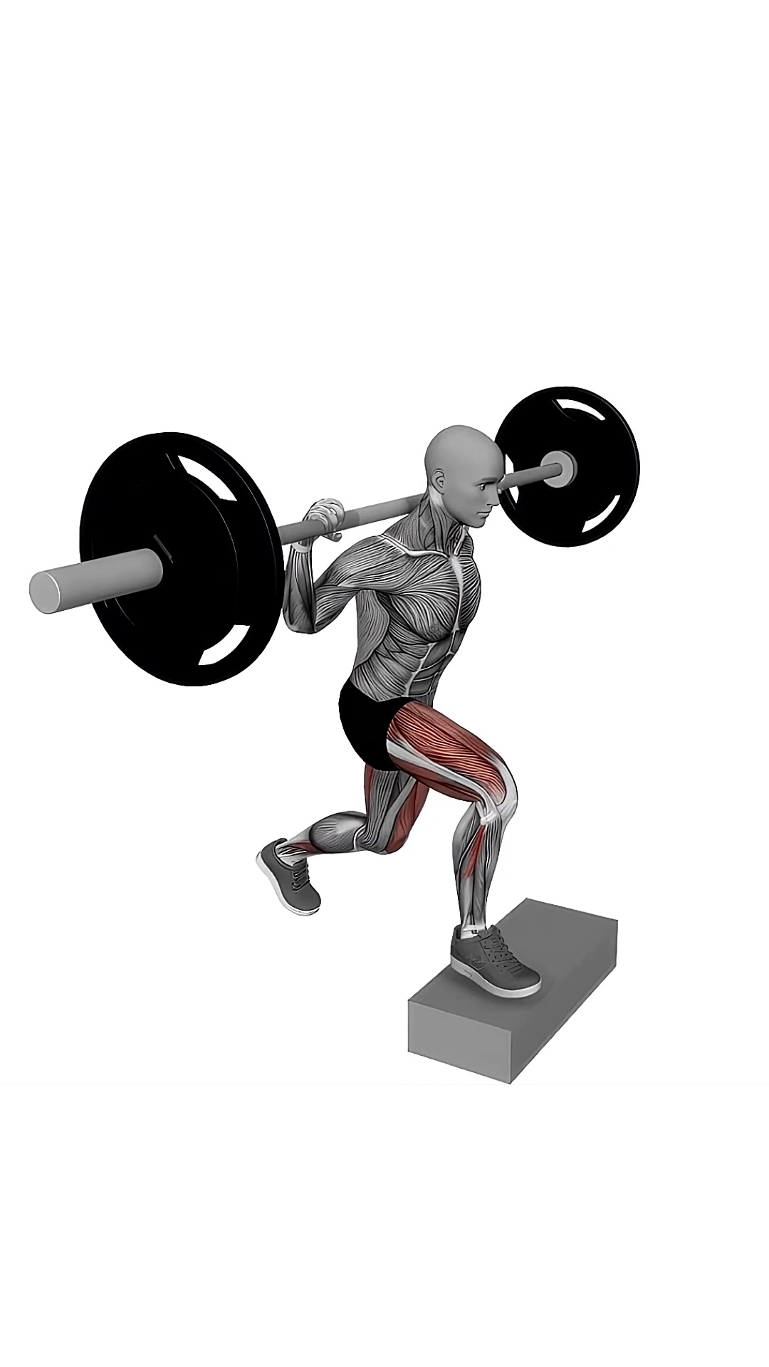 Barbell Rear Lunge On Box