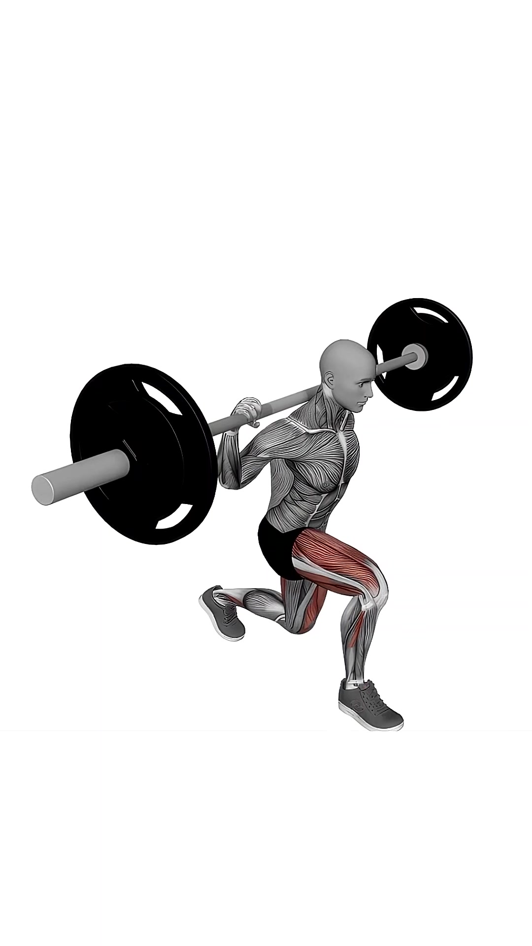 Barbell Rear Lunges