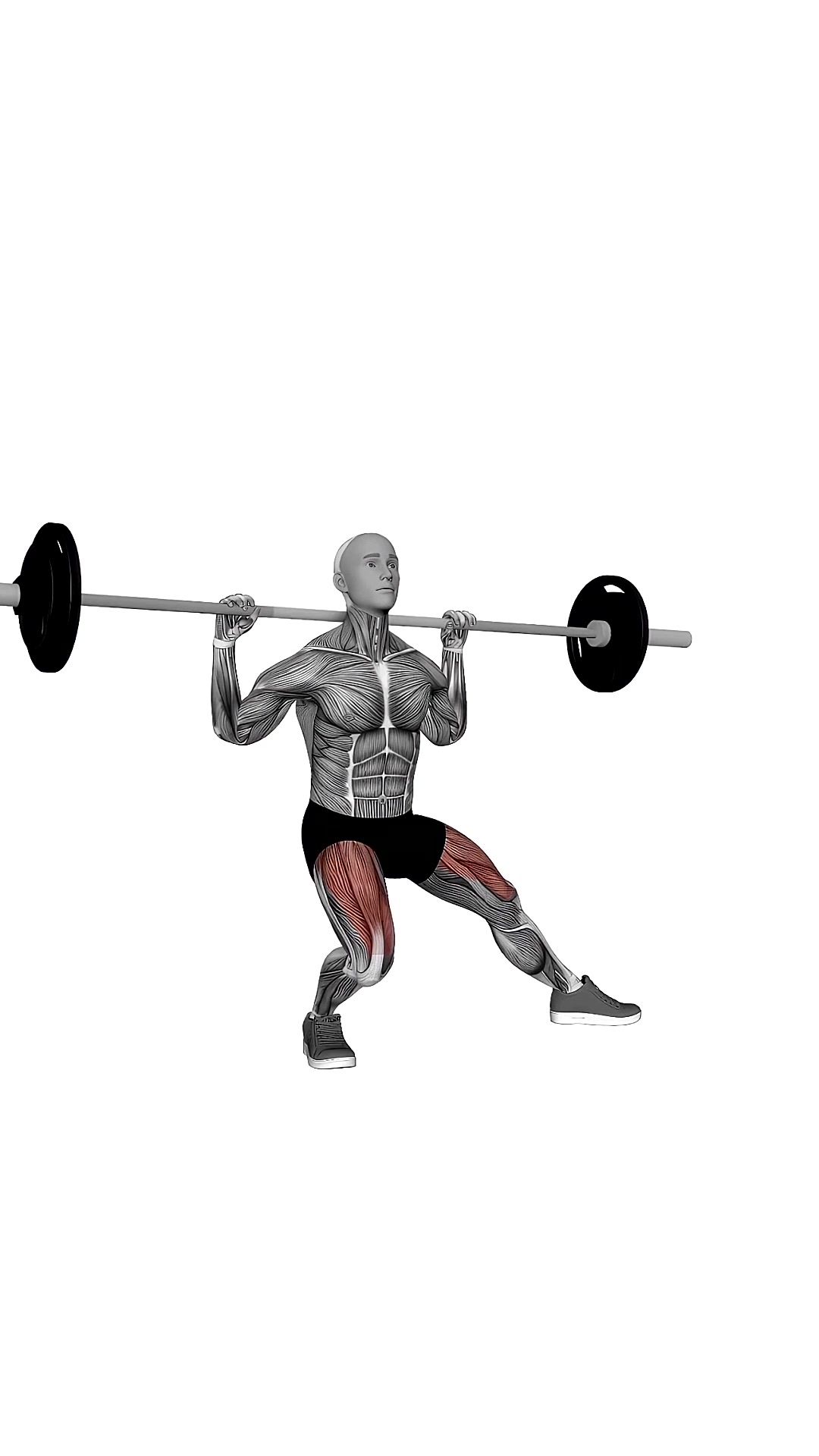 Barbell Side Split Squat