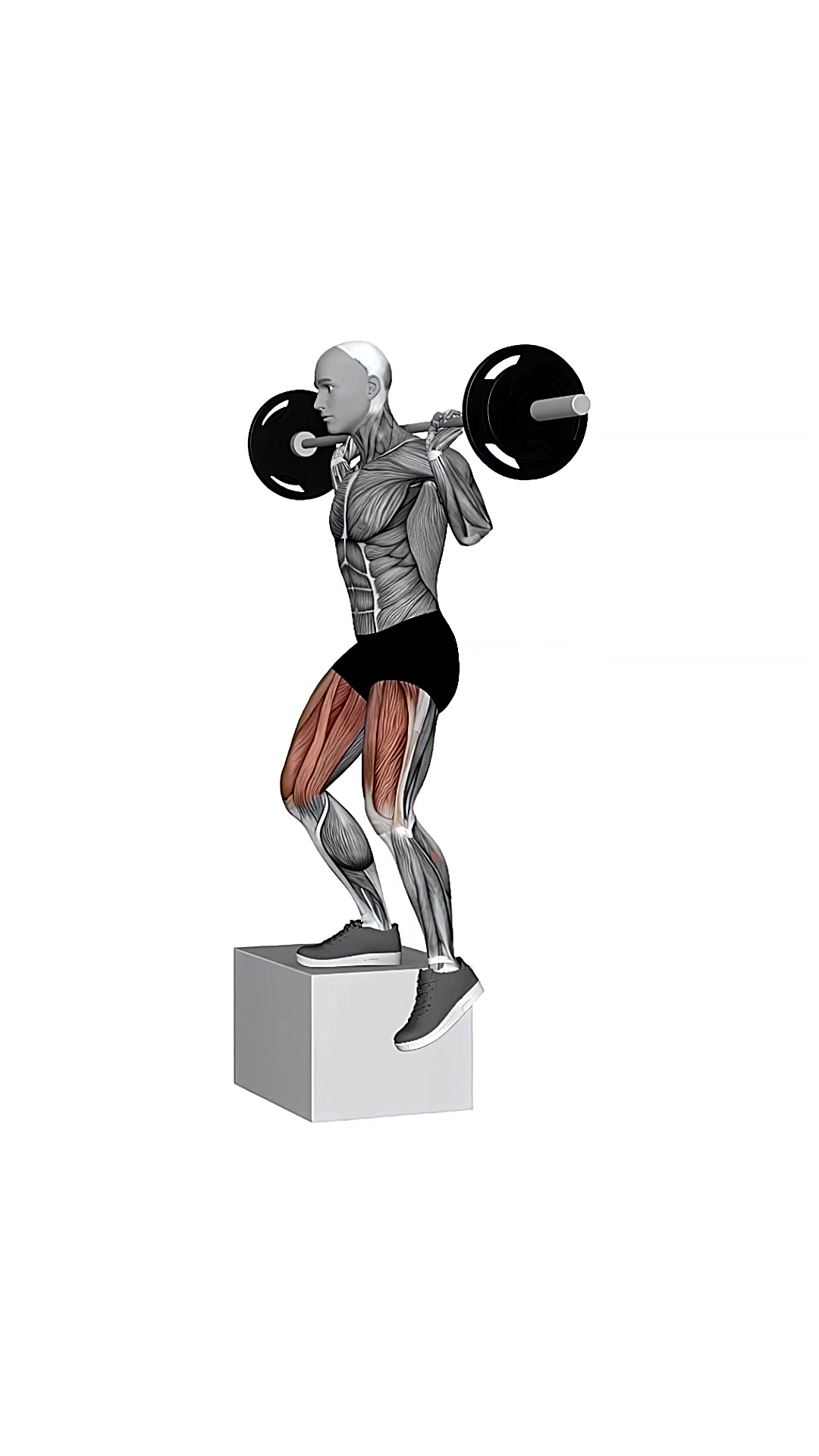 Barbell Side Step Up
