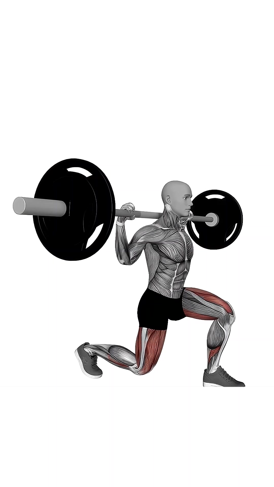 Barbell Split Squat