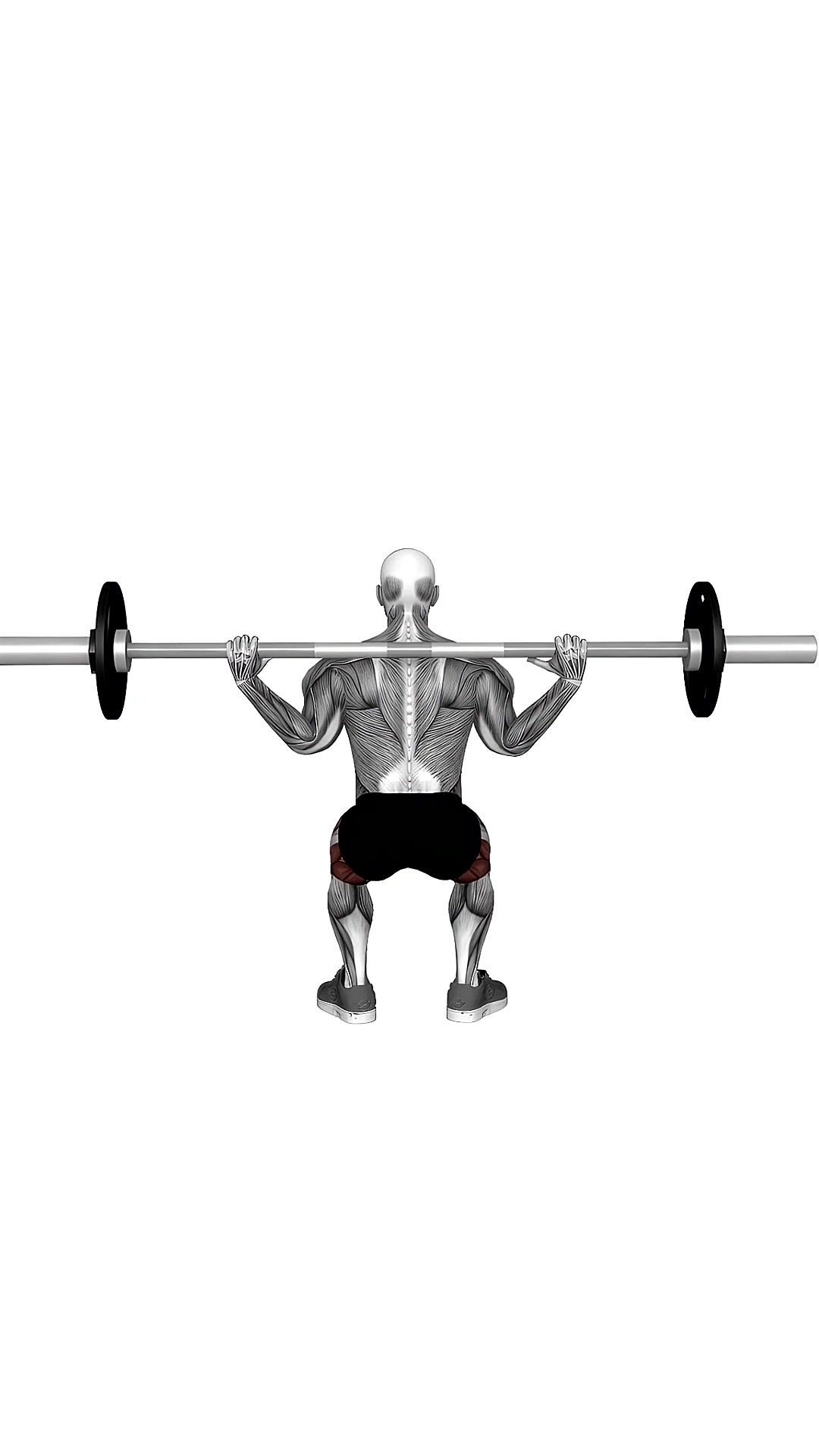 Barbell Squat Back Pov