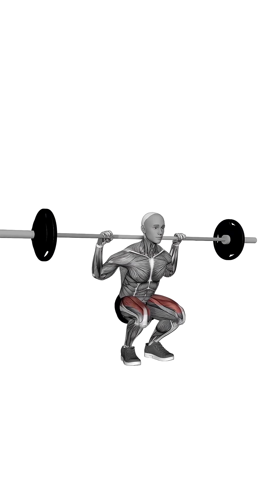 Barbell Squat To Grass