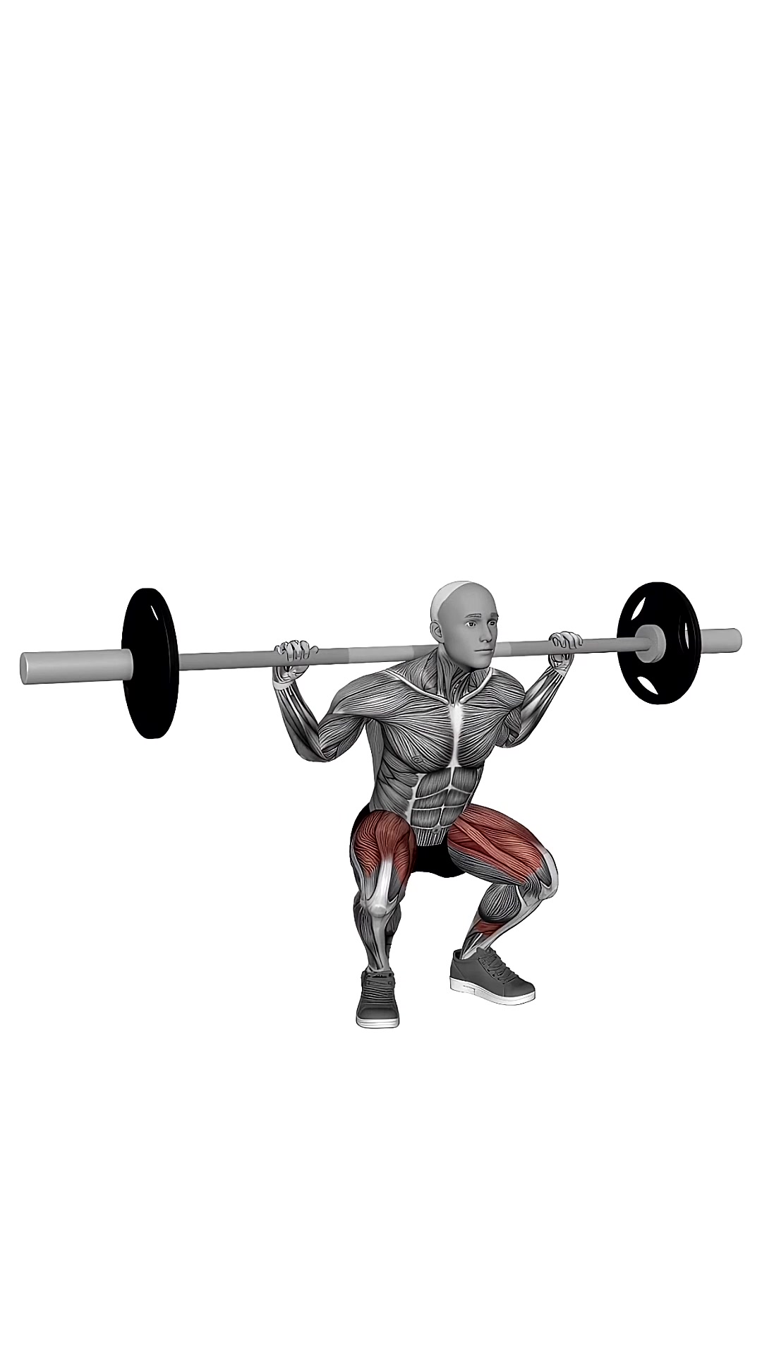 Barbell Squat With 2 Sec Hold