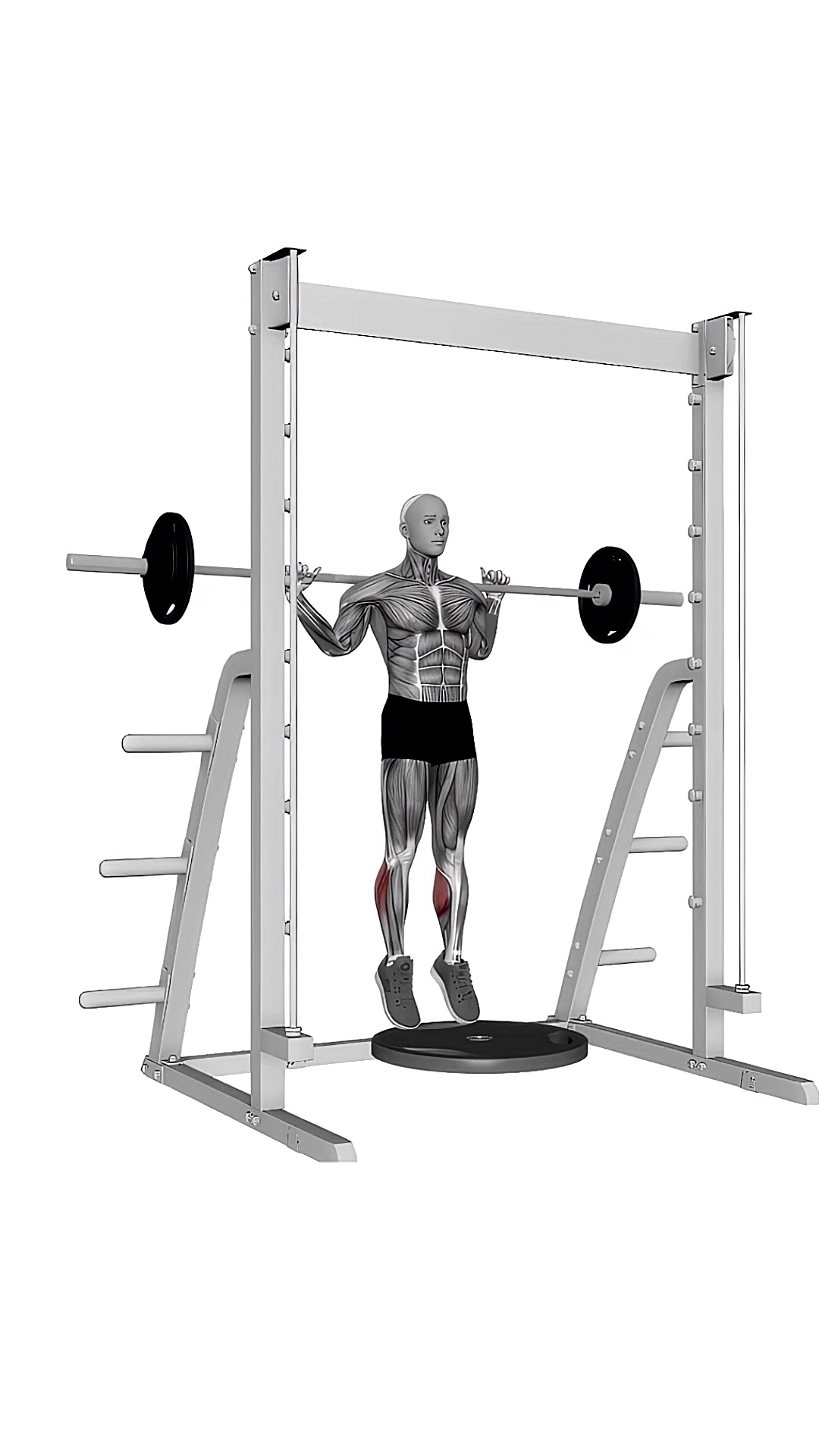 Barbell Standing Leg Calf Raise