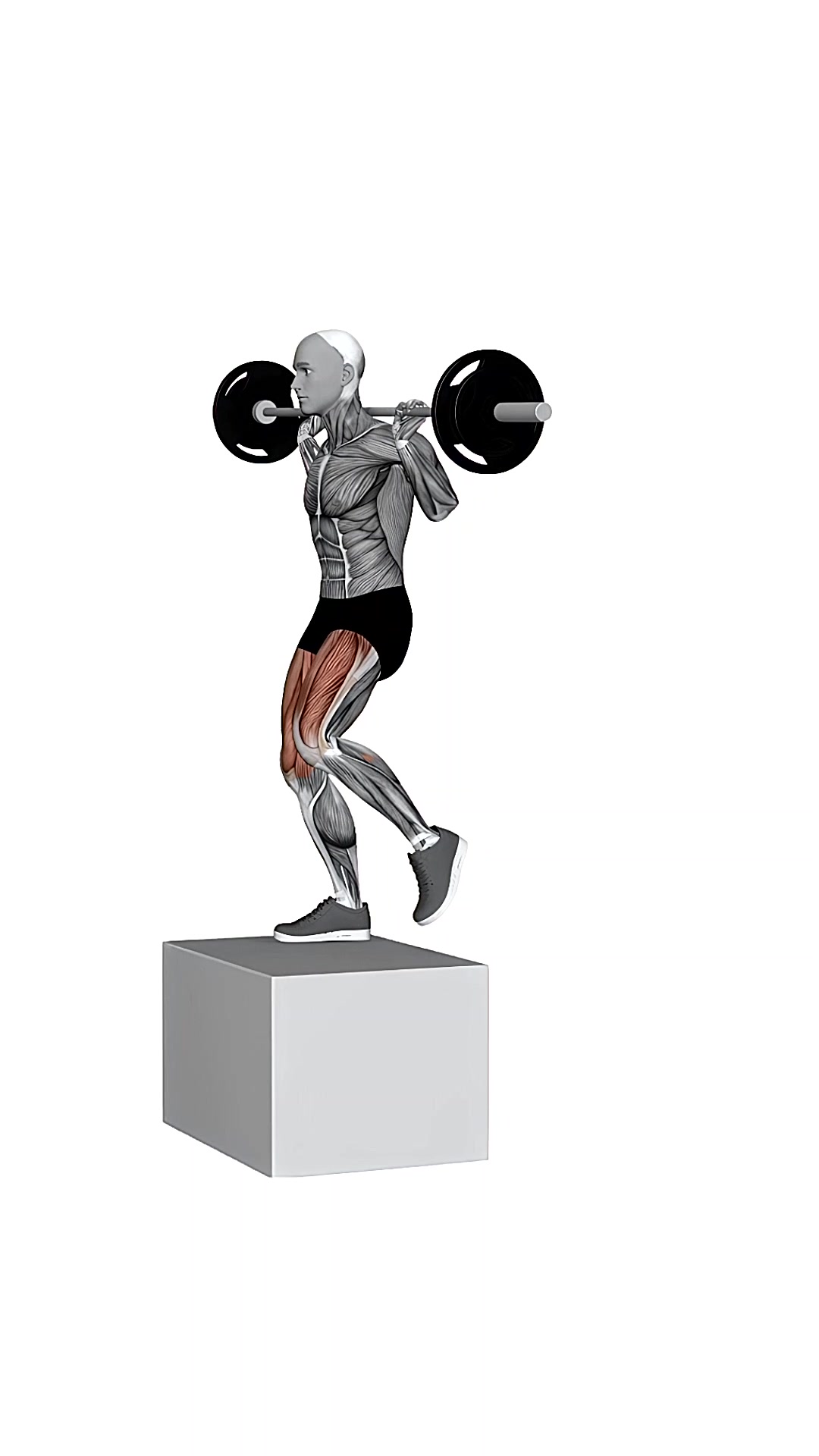 Barbell Step Up Balance On Box