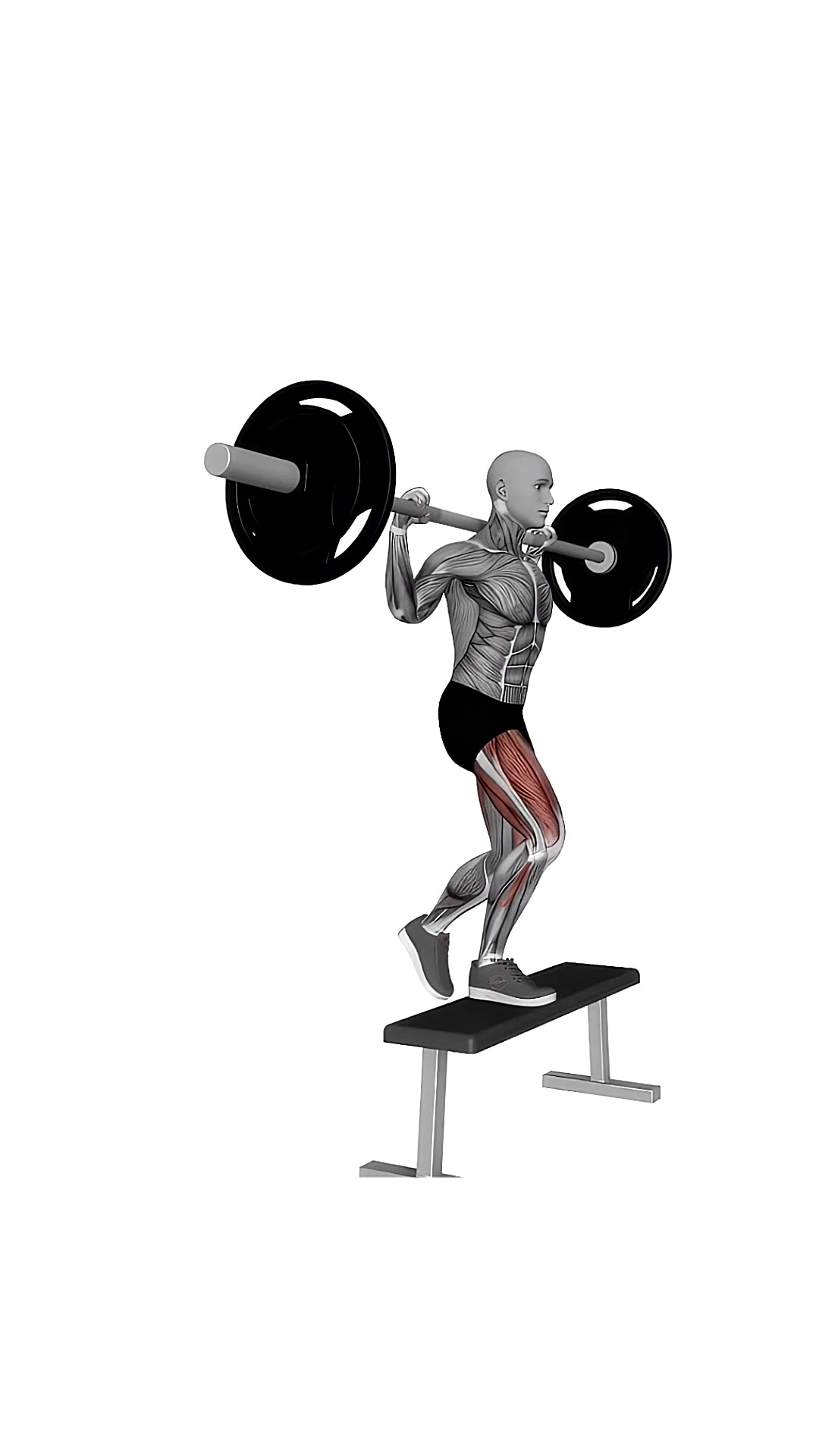 Barbell Step Up On Bench