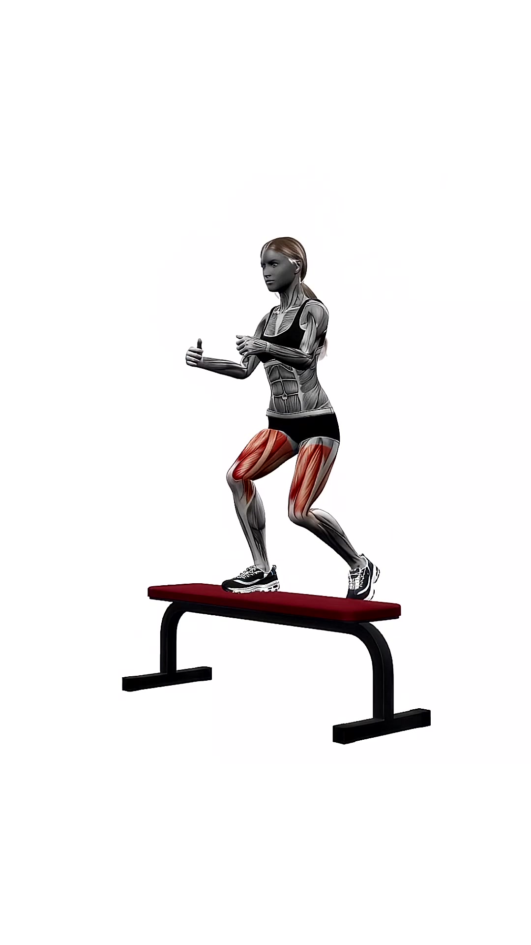 Bench Alternating Step Ups