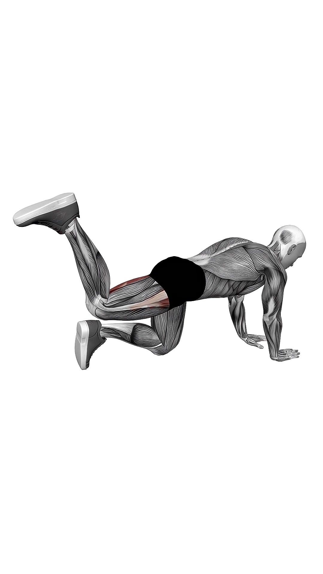 Bent Knee Back To Side Kick
