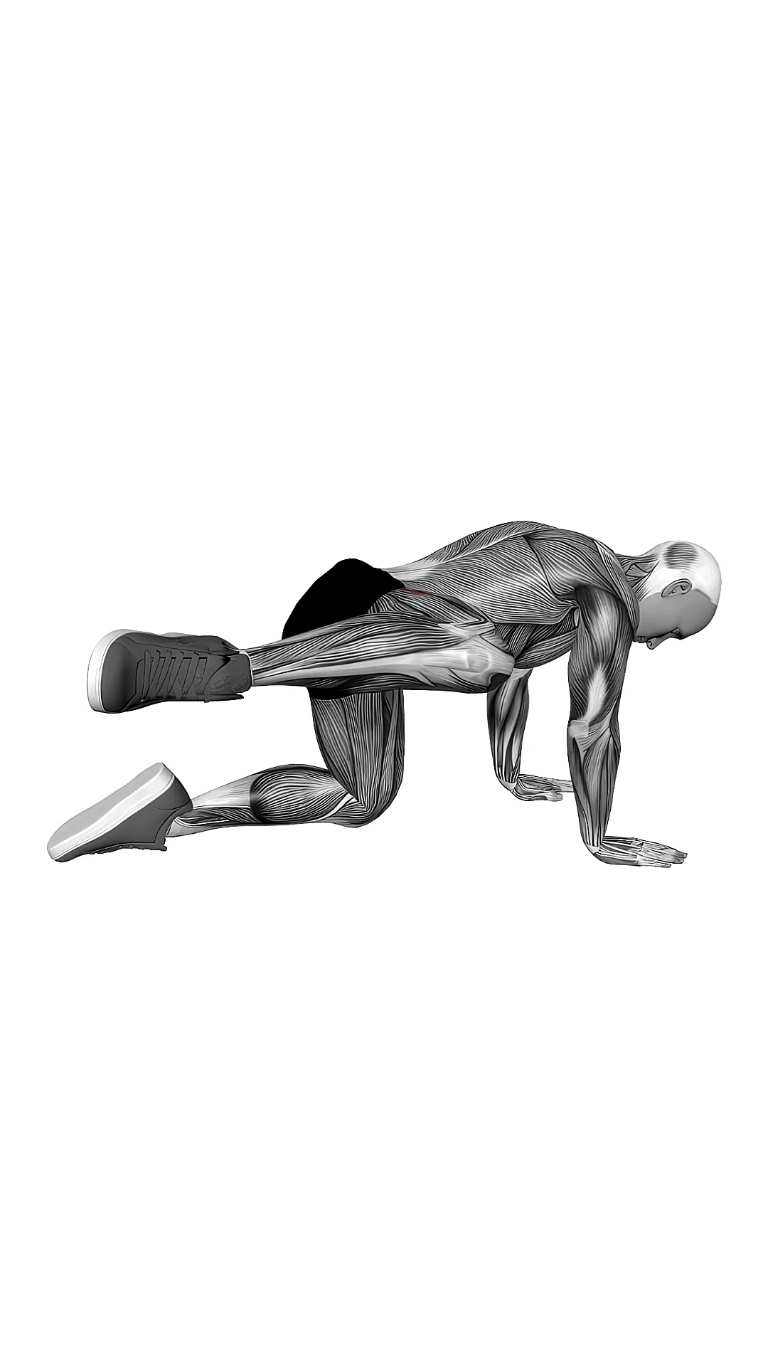 Bent Leg Side Kick (kneeling)