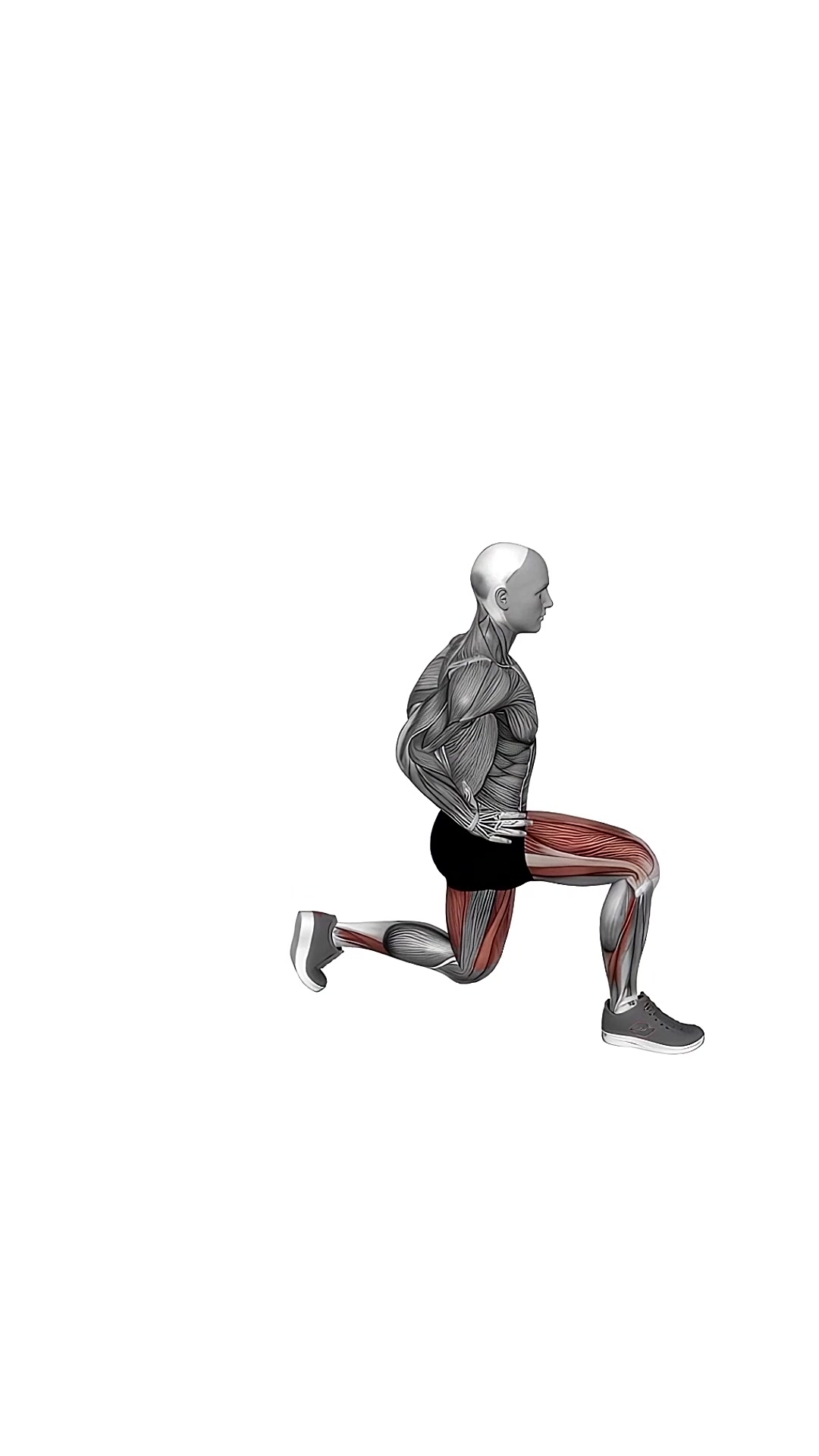 Bodyweight Forward Lunge