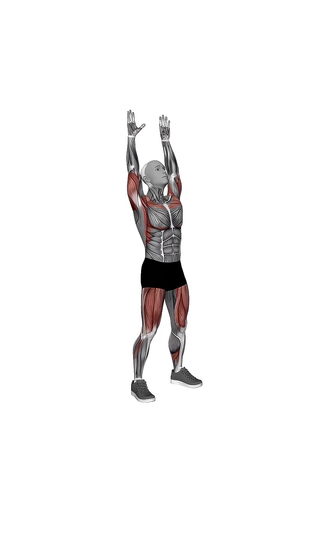 Bodyweight Full Squat With Overhead Front Raise