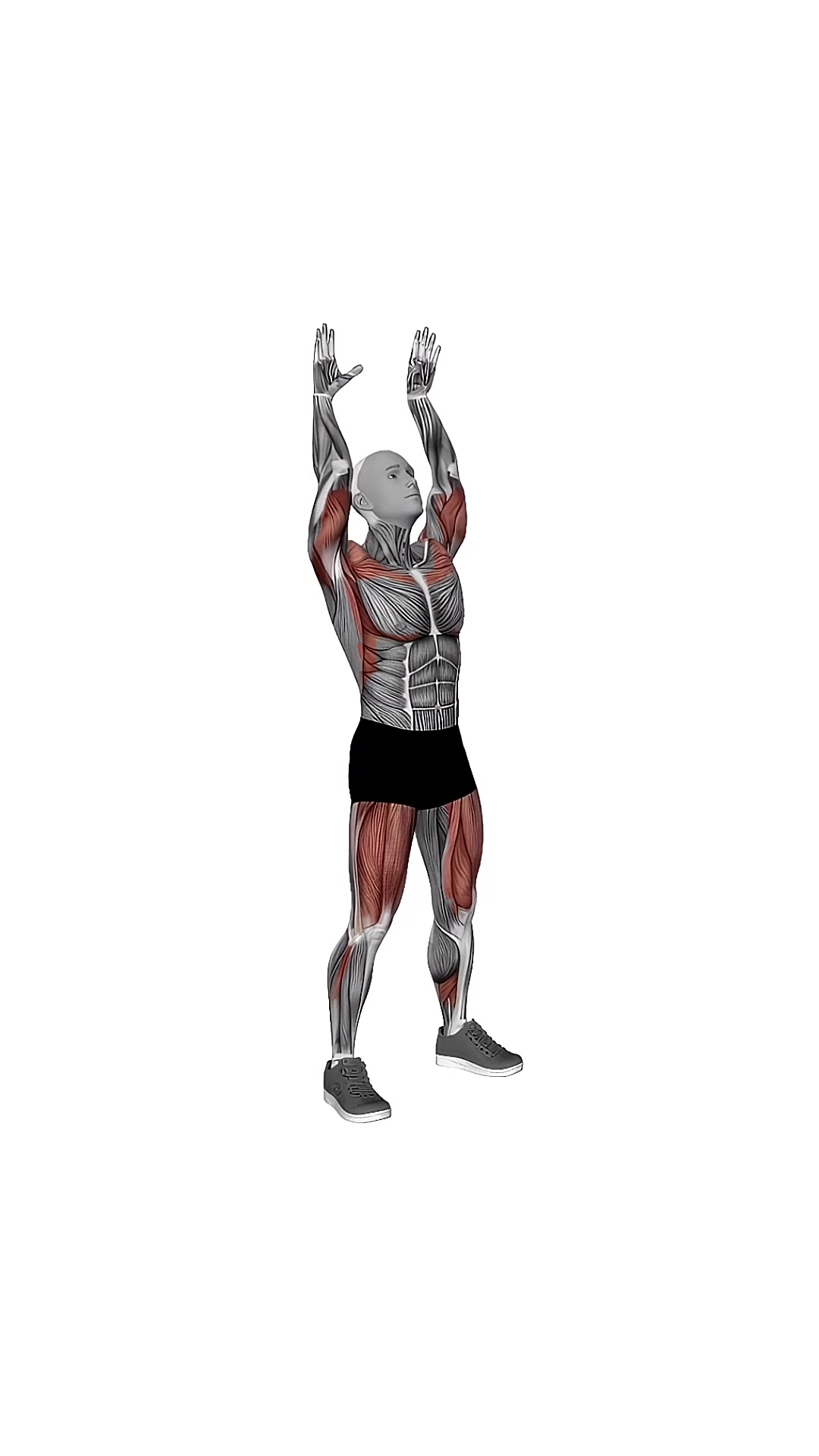 Bodyweight Full Squat With Overhead Press