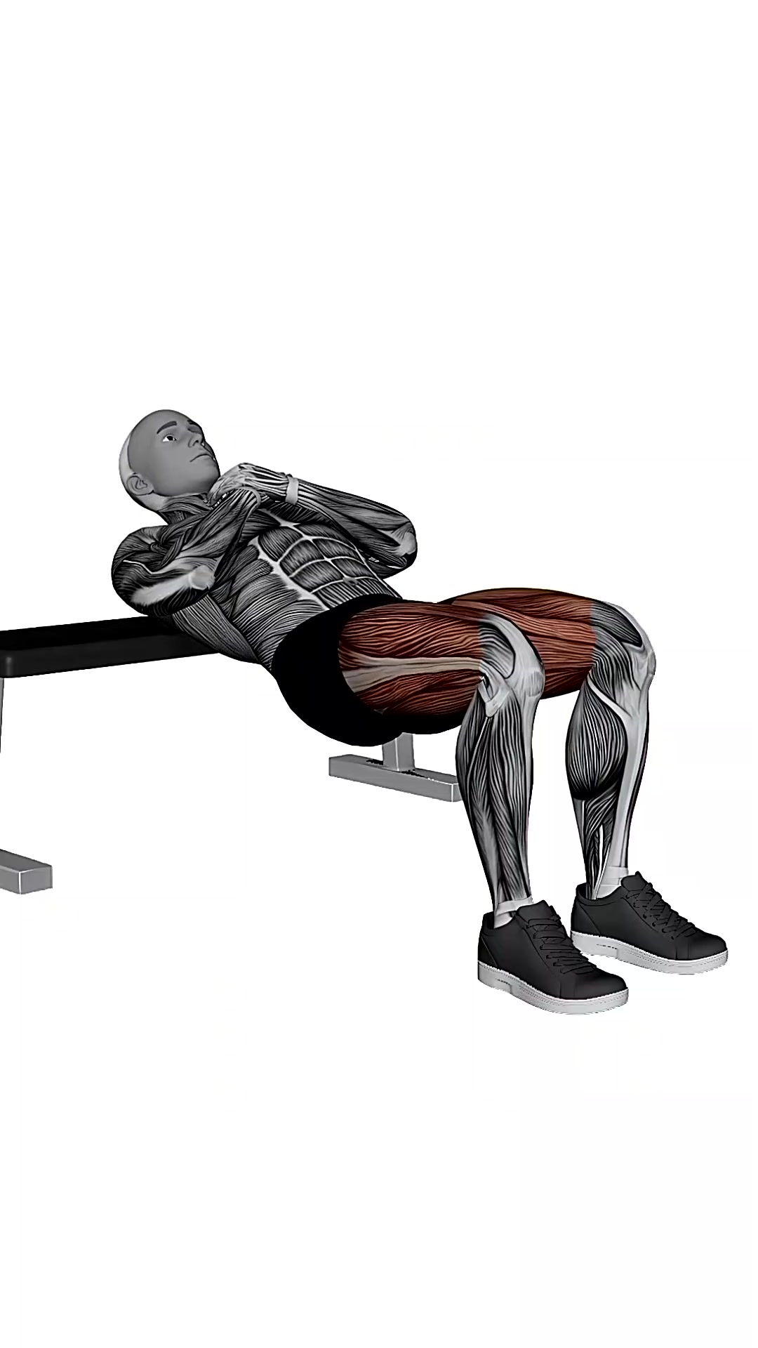 Bodyweight Hip Thrust