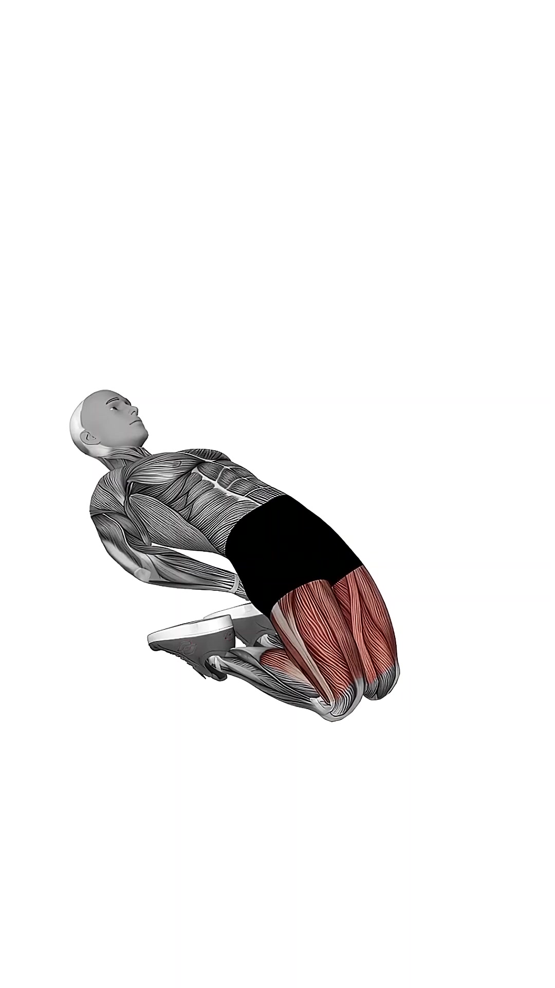 Bodyweight Kneeling Sissy Squat