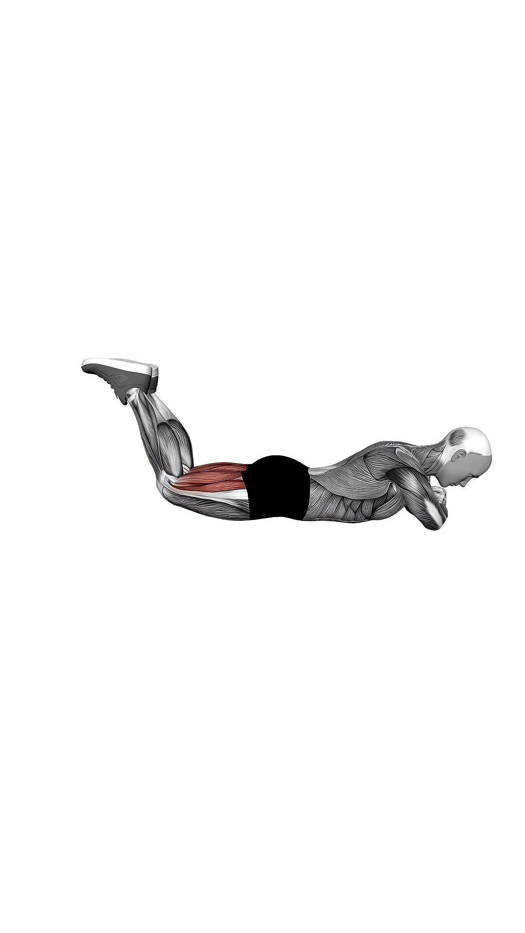 Bodyweight Lying Leg Curl