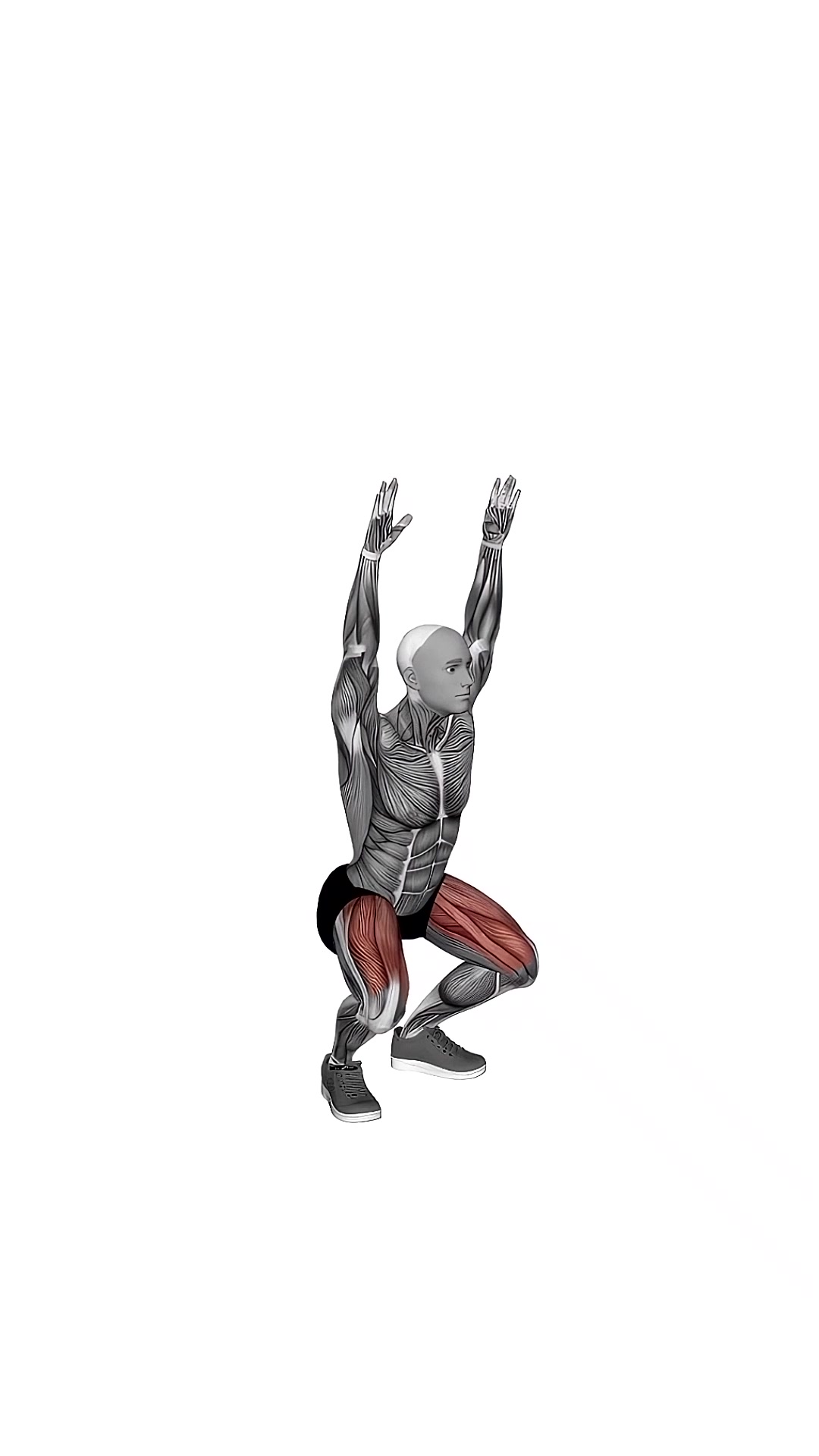 Bodyweight Overhead Squat