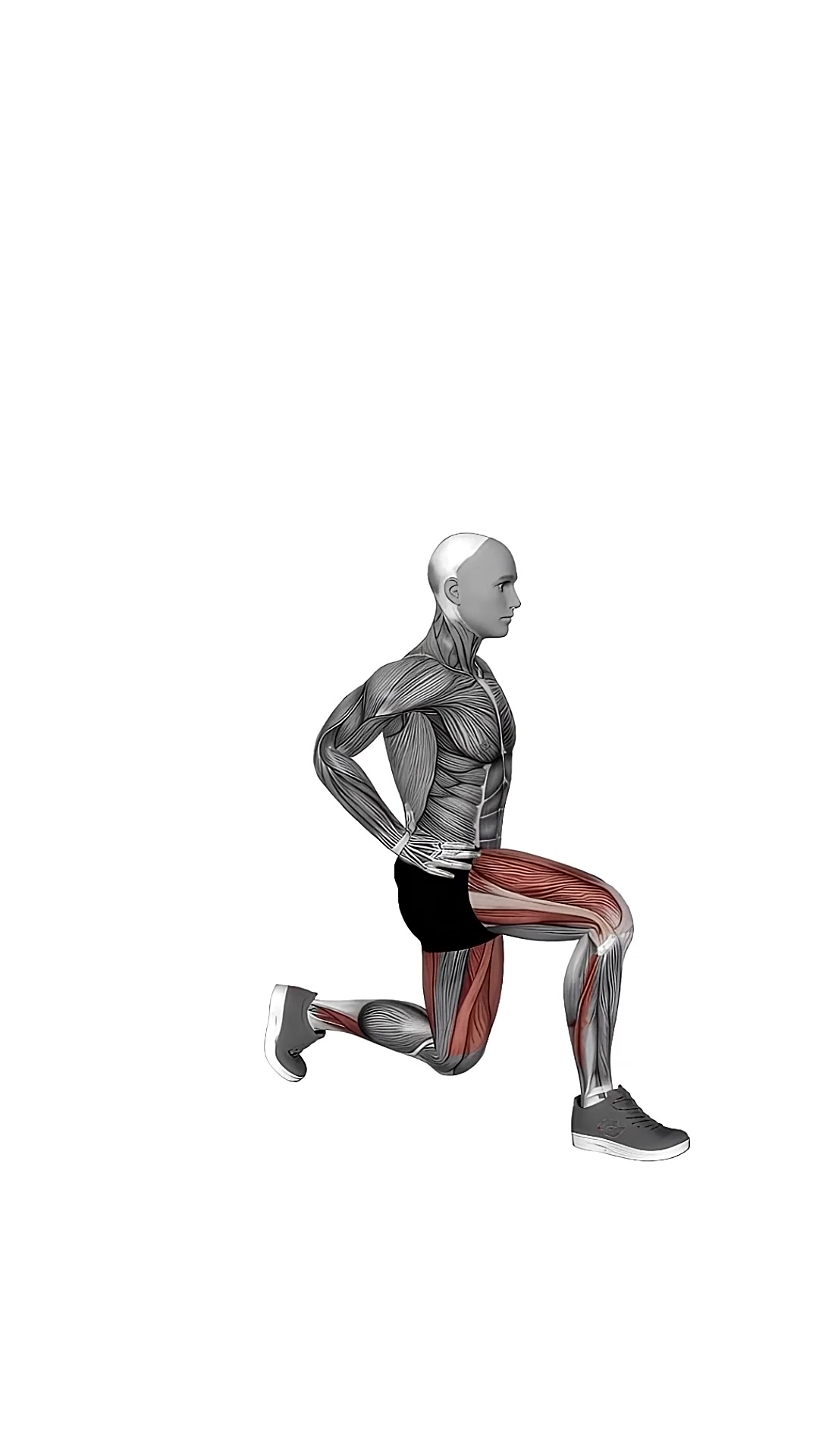 Bodyweight Pulse Forward Lunge