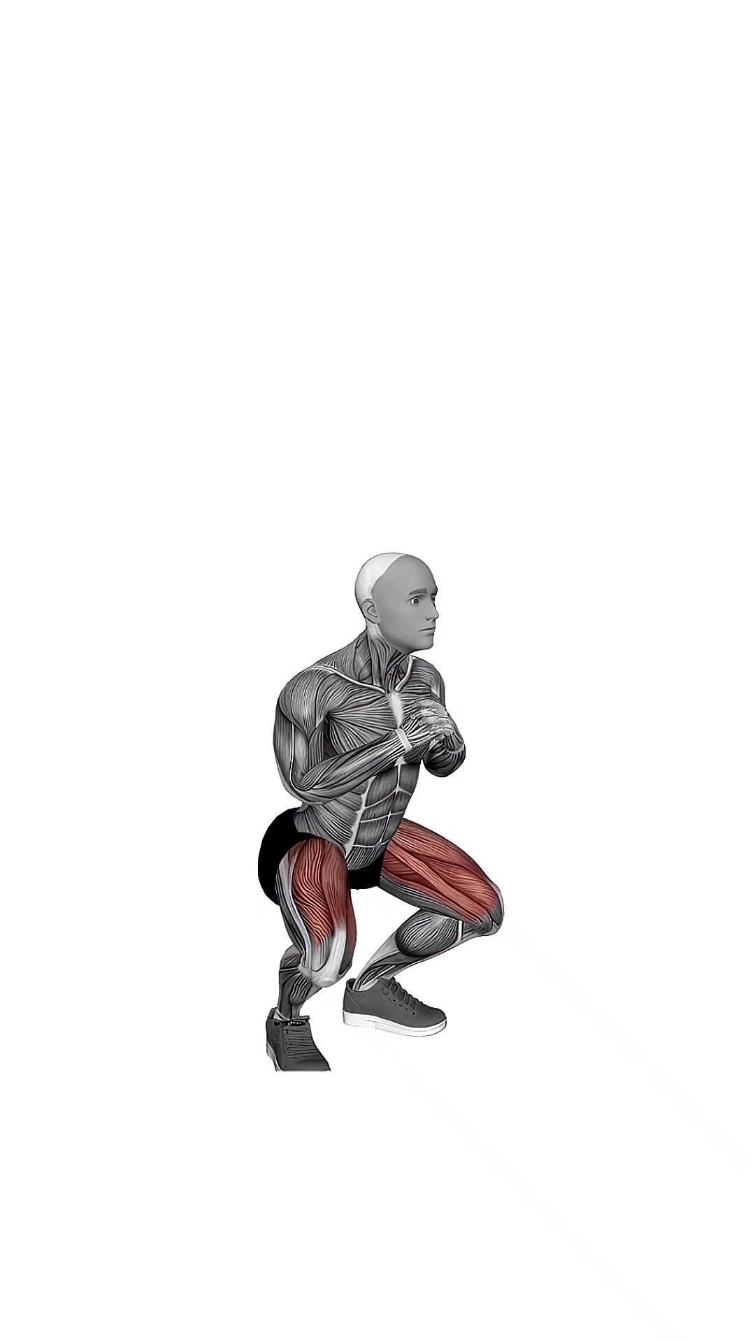 Bodyweight Pulse Squat Arms To Chest