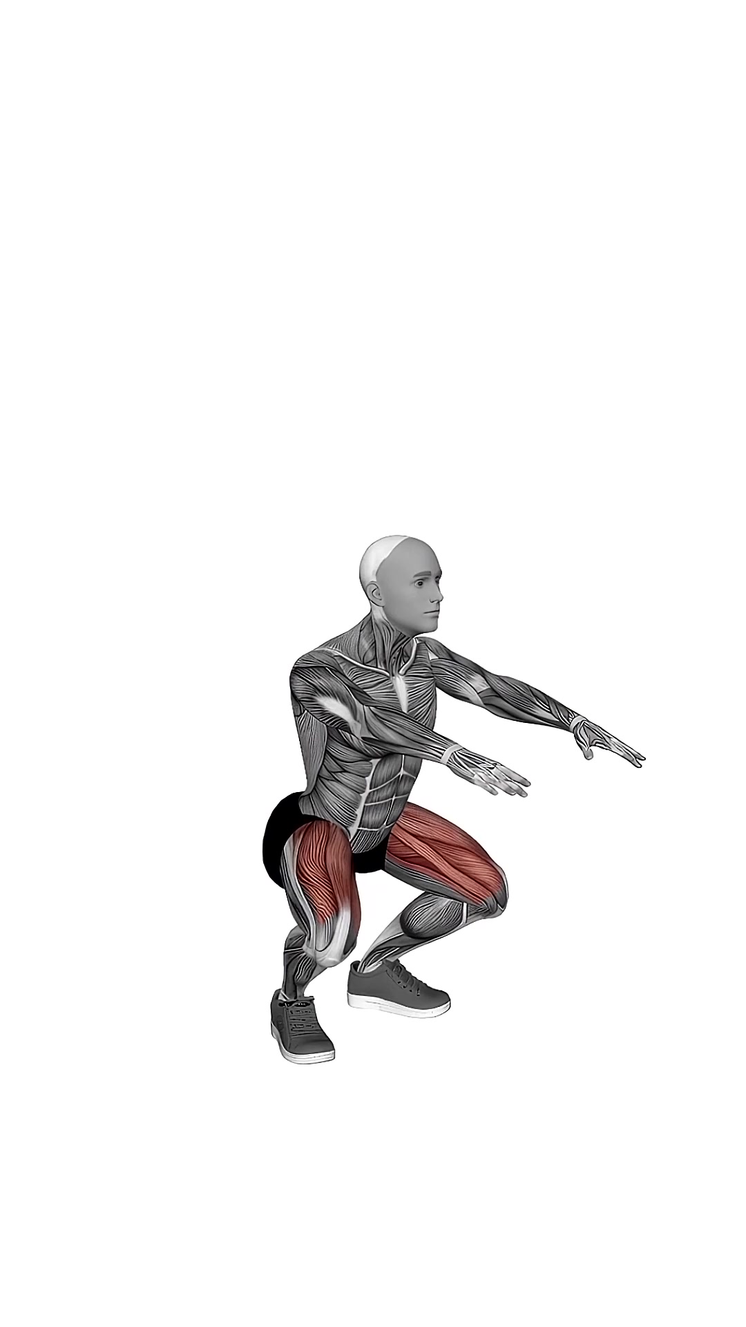Bodyweight Pulse Squat