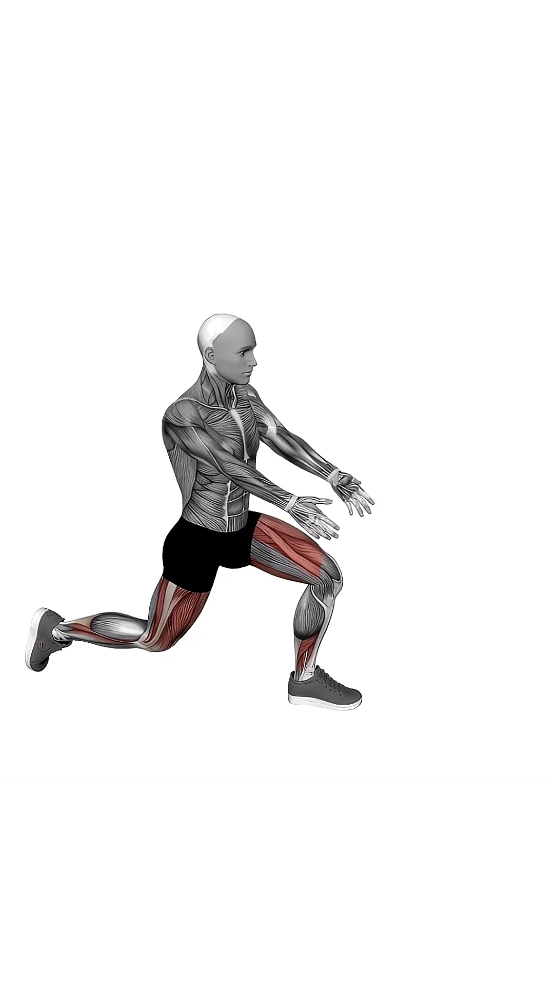 Bodyweight Rear Lunge Front Raise