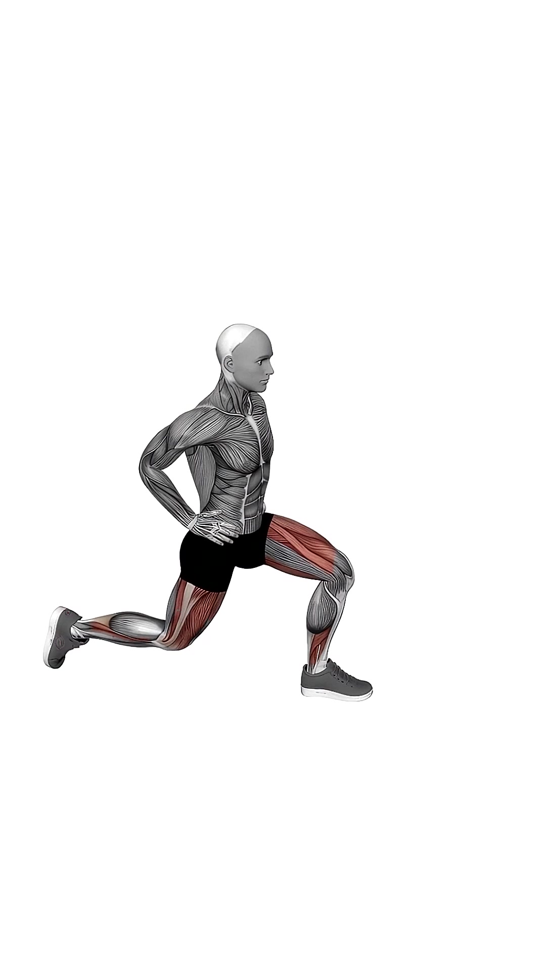 Bodyweight Rear Lunge