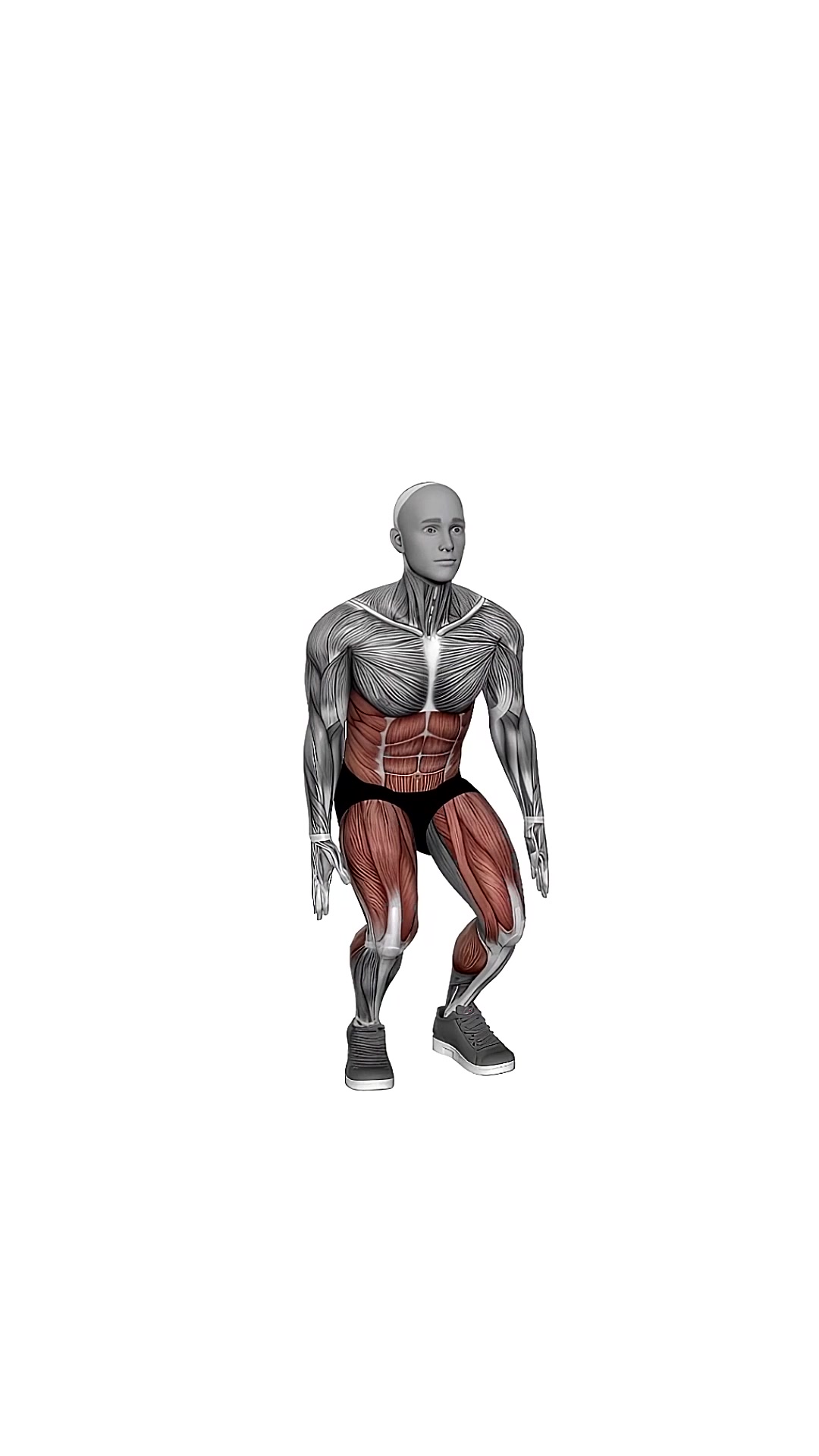 Bodyweight Squat To Front Leg