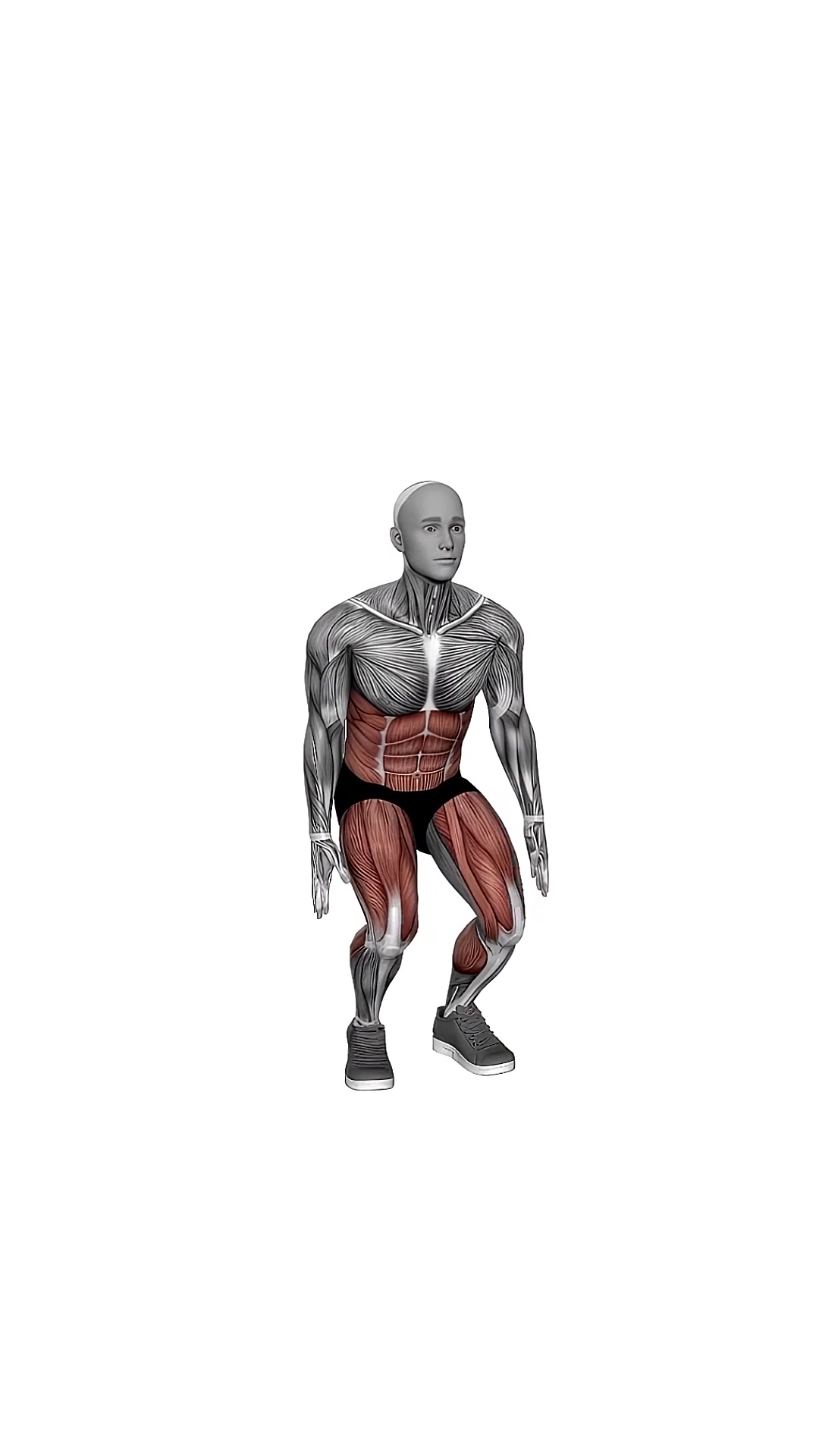 Bodyweight Squat To Side To Front Leg